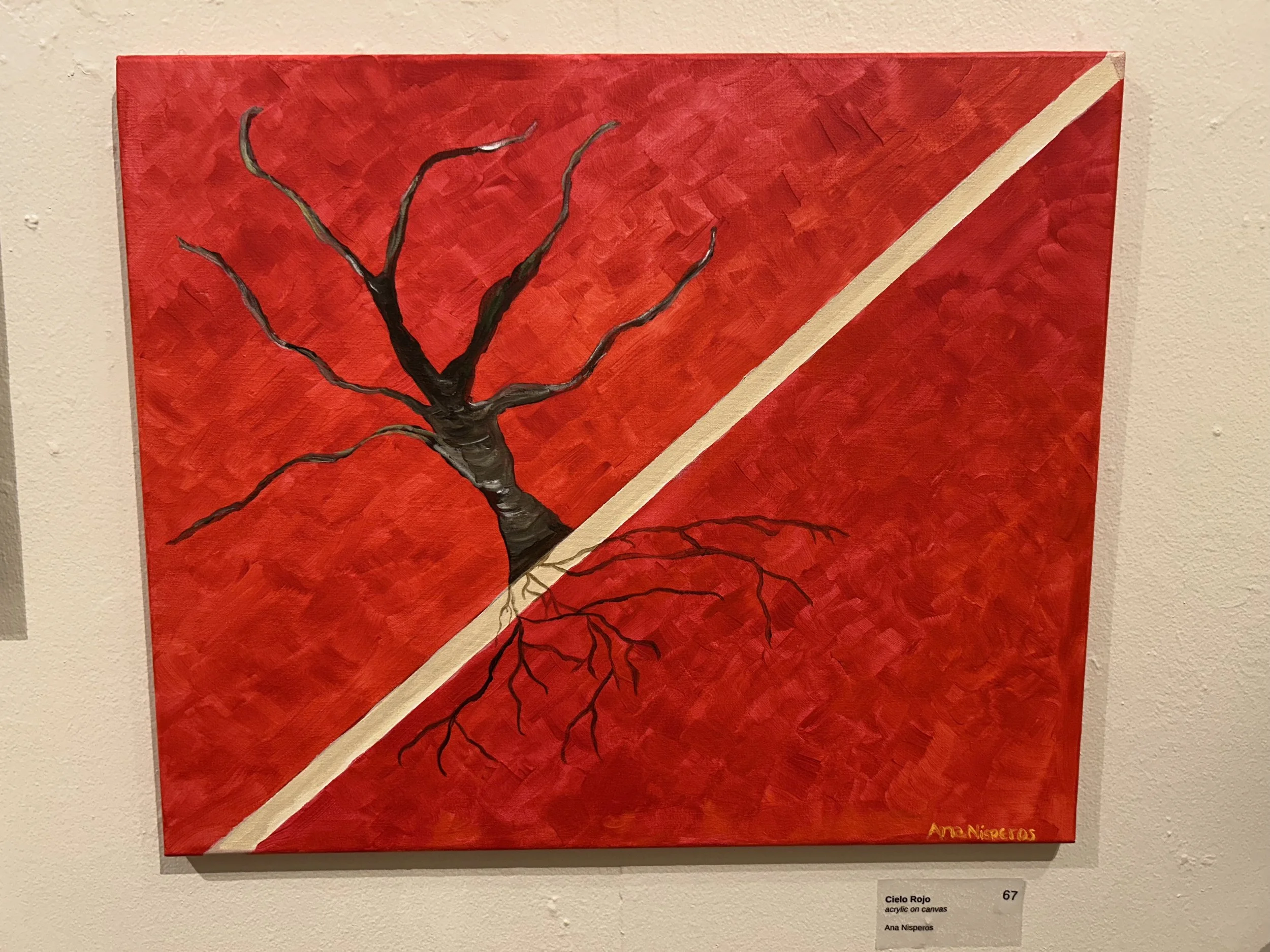 67_Cielo_Rojo.jpg