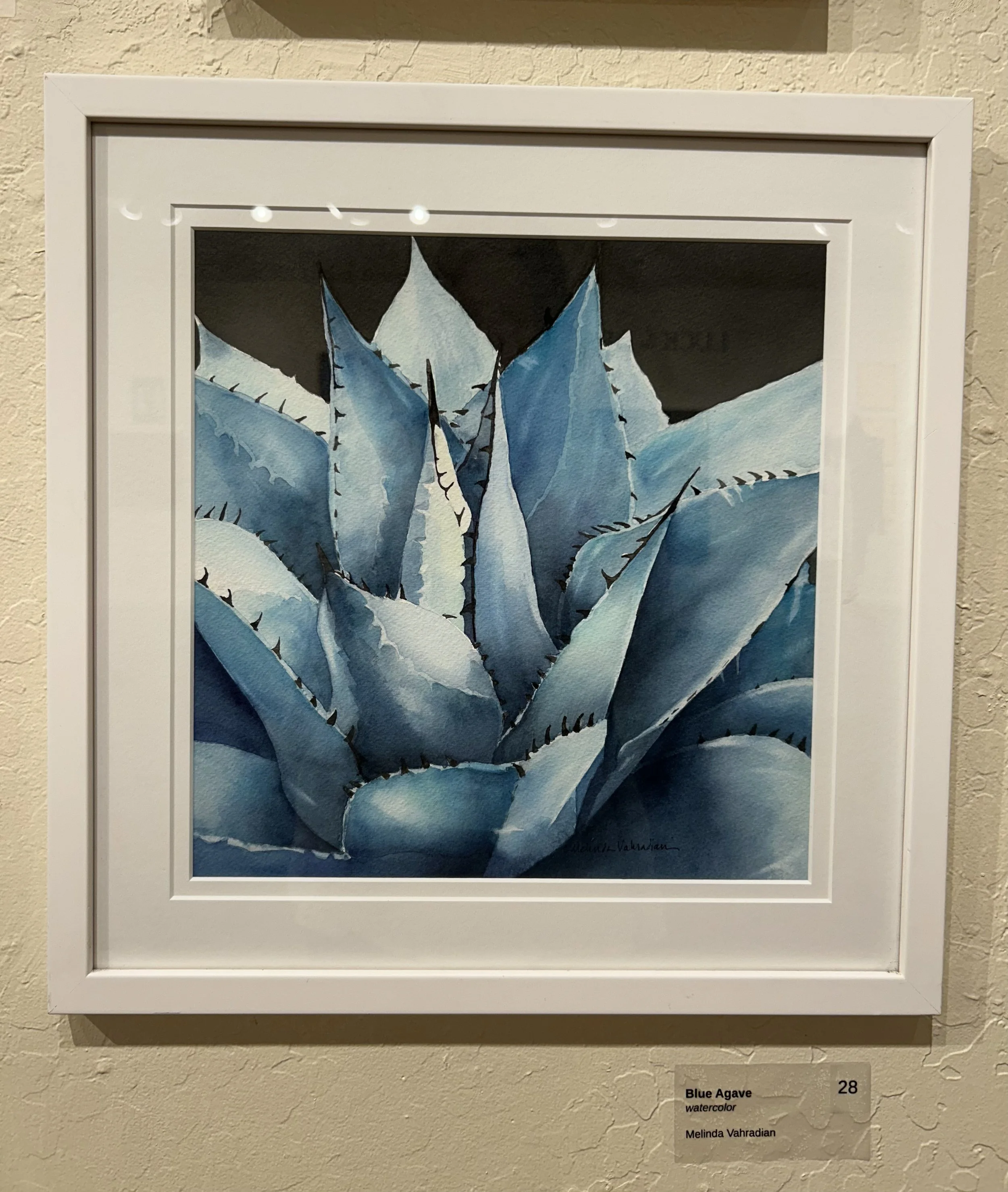 28_Blue_Agave.jpg