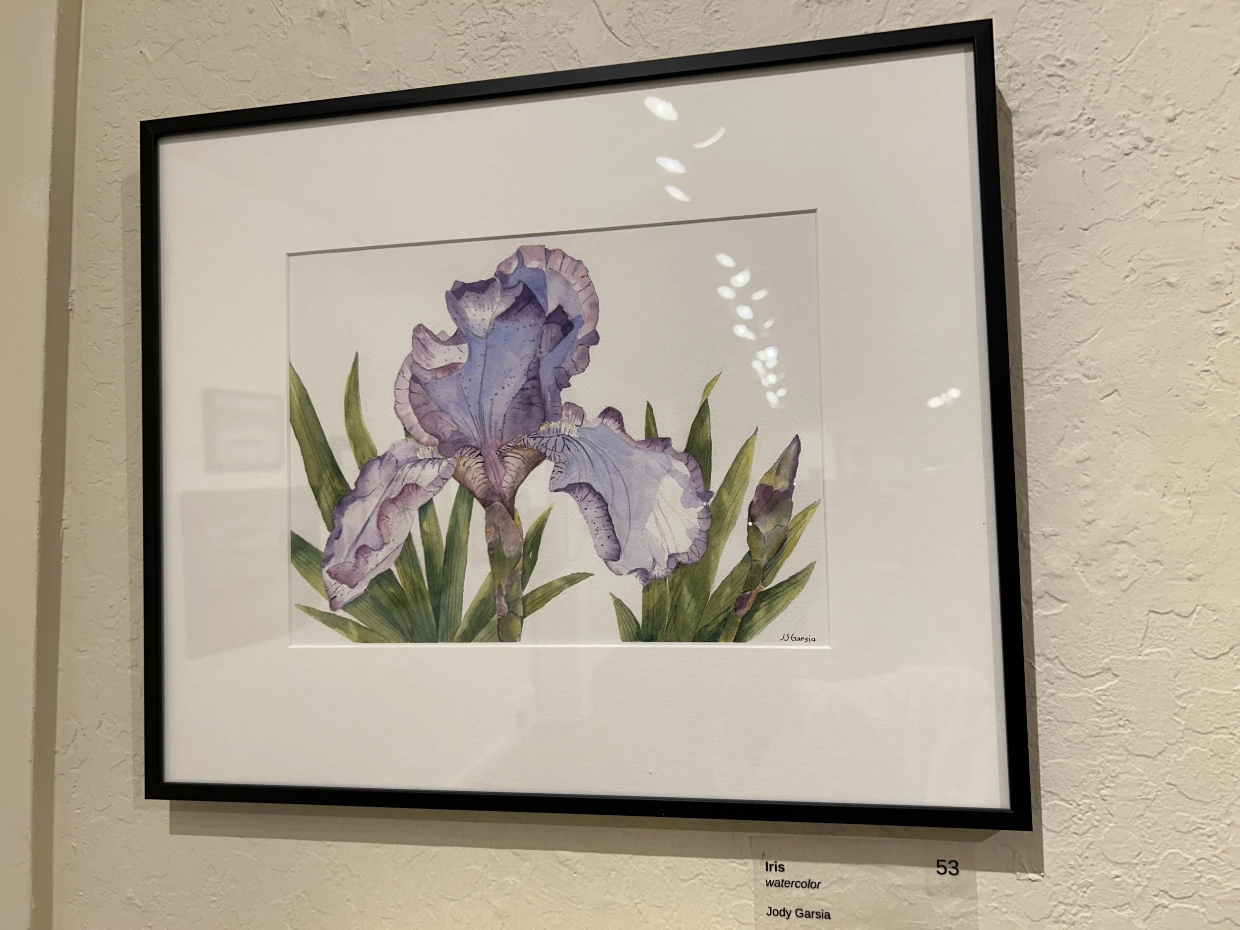 53_Iris.jpg