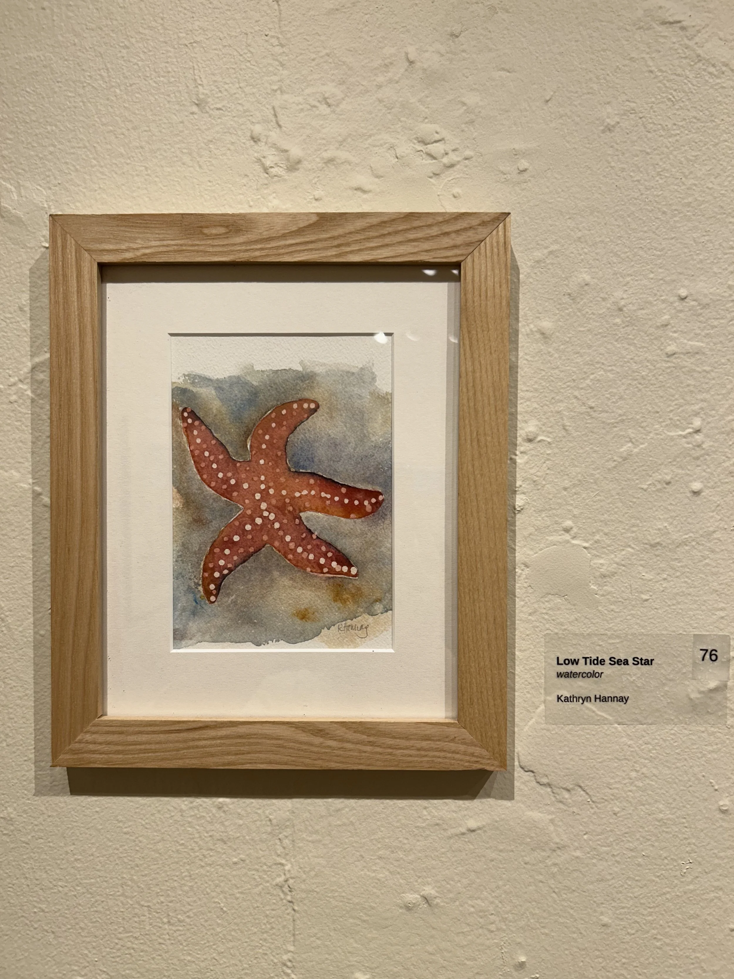 76_Low_Tide_Sea_Star.jpg