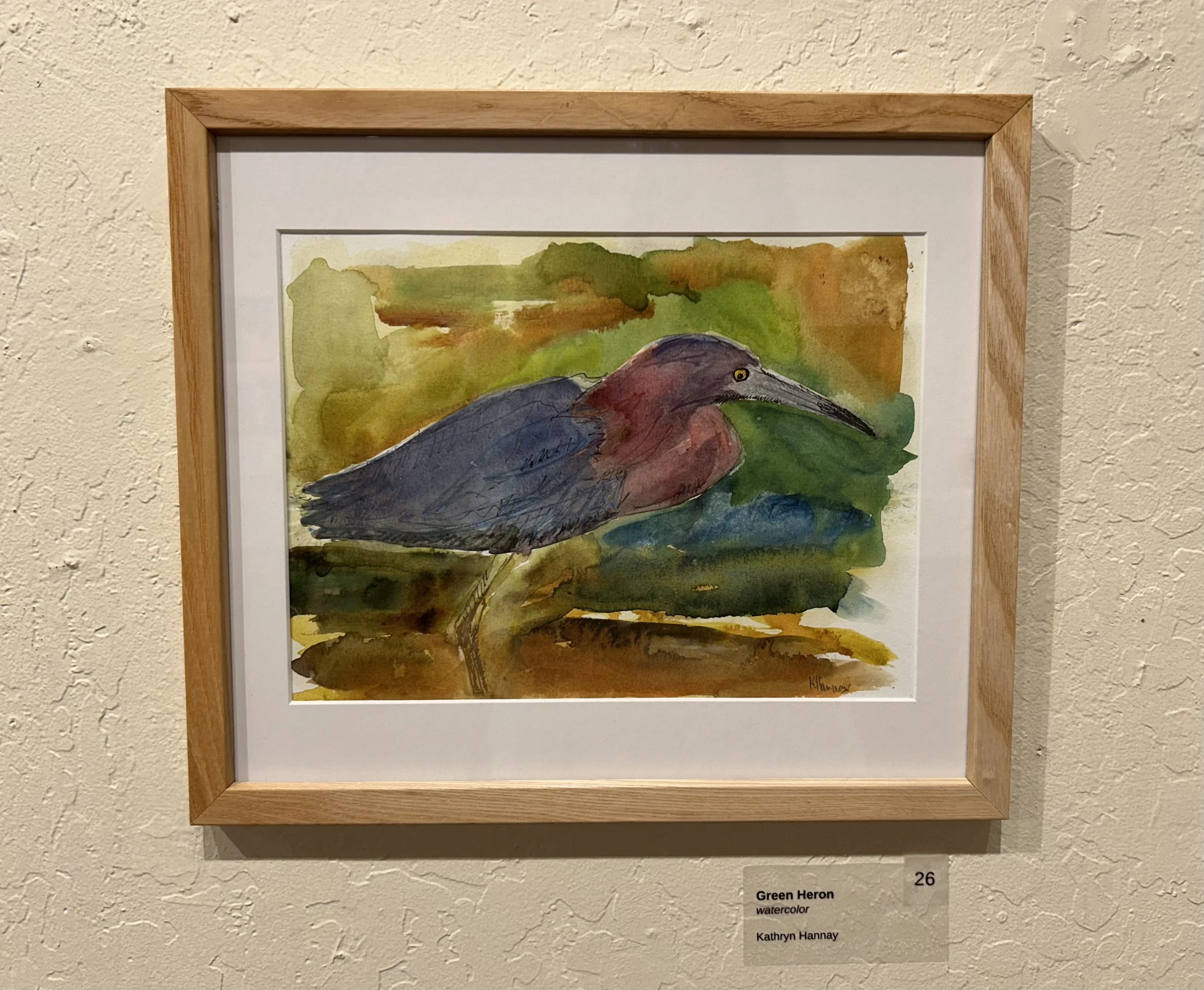 26_Green_Heron.jpg