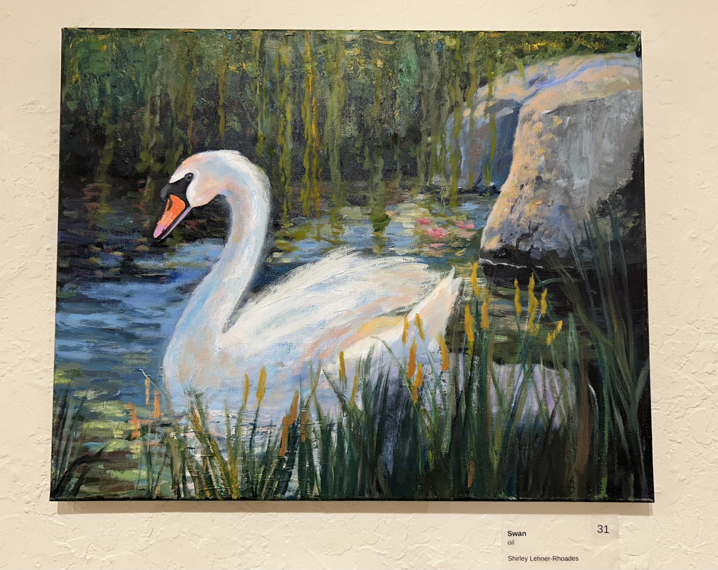 31_Swan.jpg