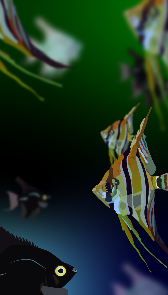 4-Designs-Optimized-Angelfish.png