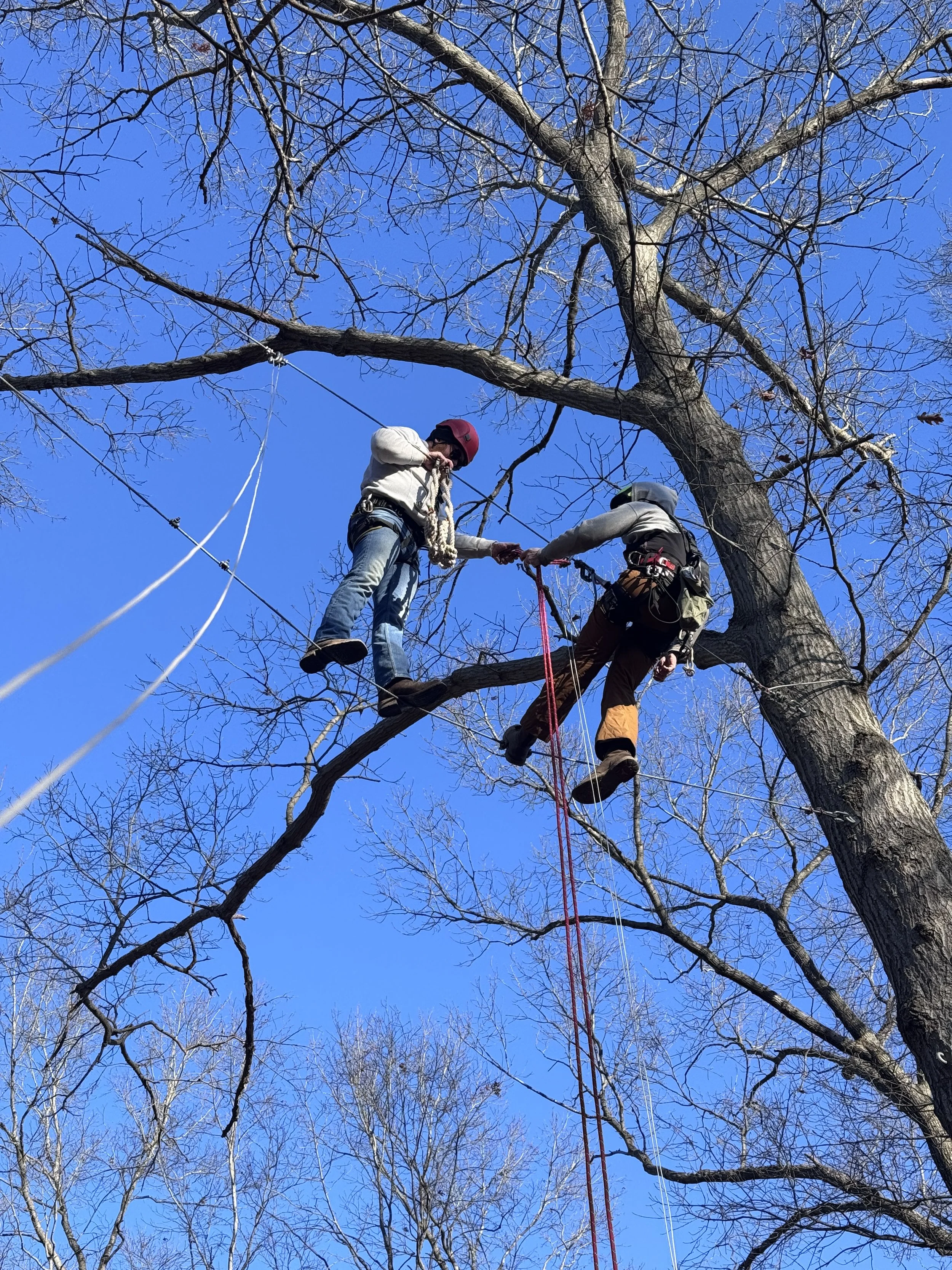 Off-Season at Genesee Valley: The Quiet Work That Makes the Magic Possible