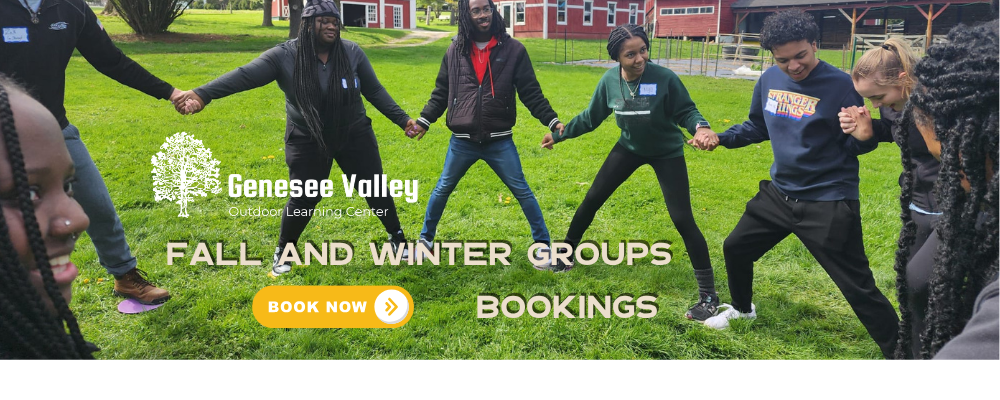 FallWinter Bookings.png