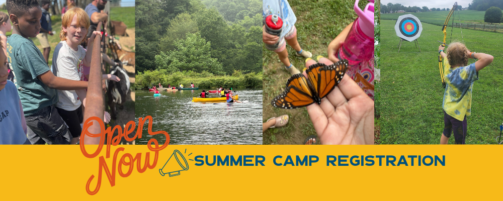 Summer Camp - Now Open.png