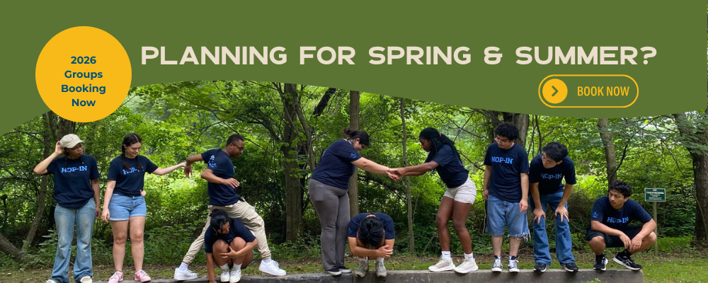 Groups Spring & Summer.png