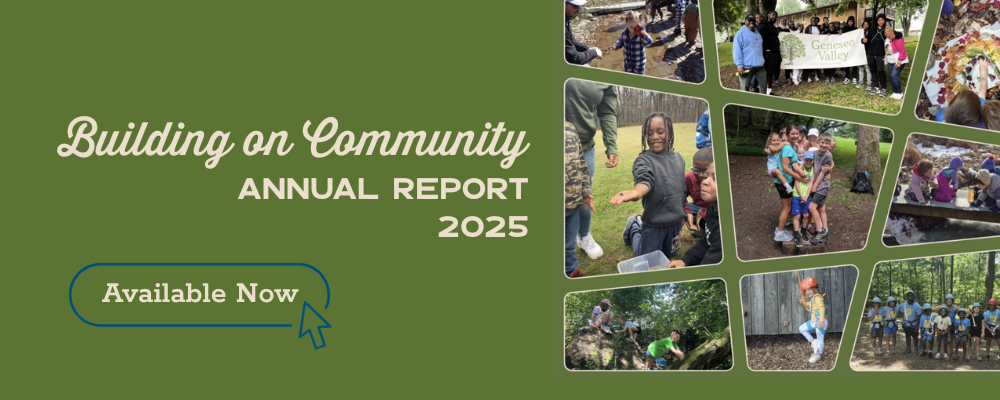 Annual Report 2025.png