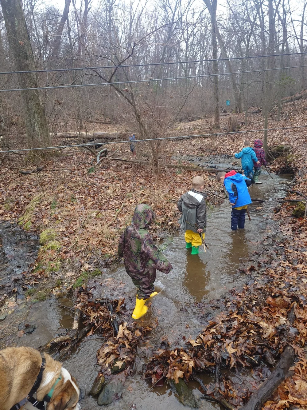 Early Childhood Programs — Genesee Valley Outdoor Learning Center