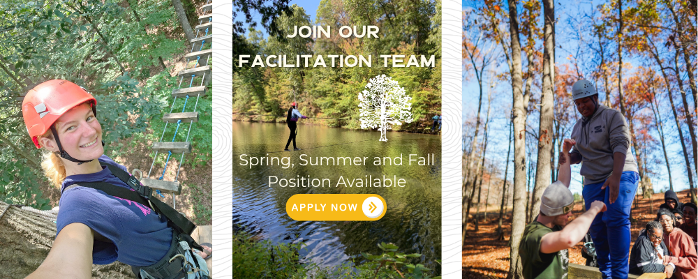 Hiring Banner (1).png