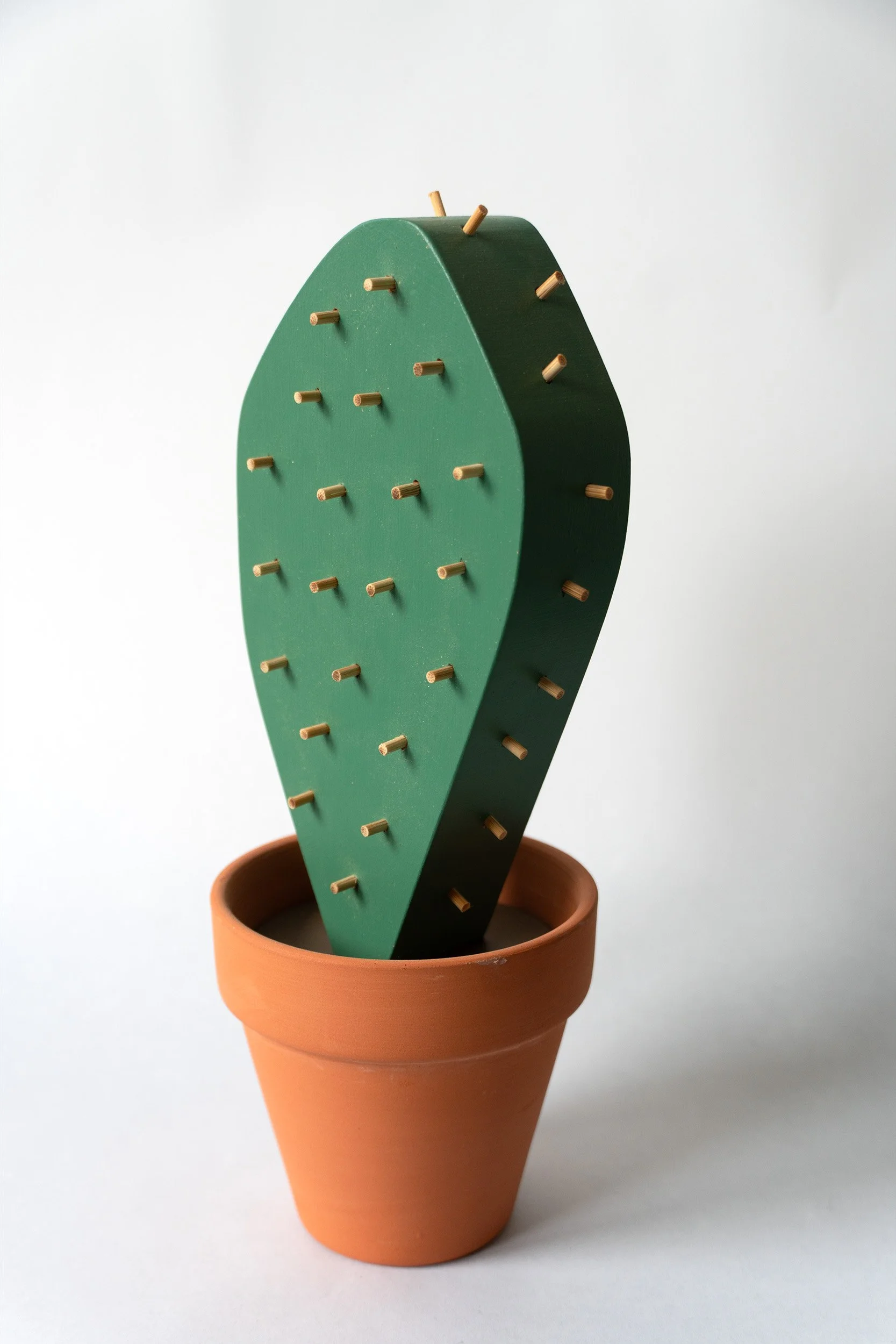 Jeff Canham SpikePlant1.jpg