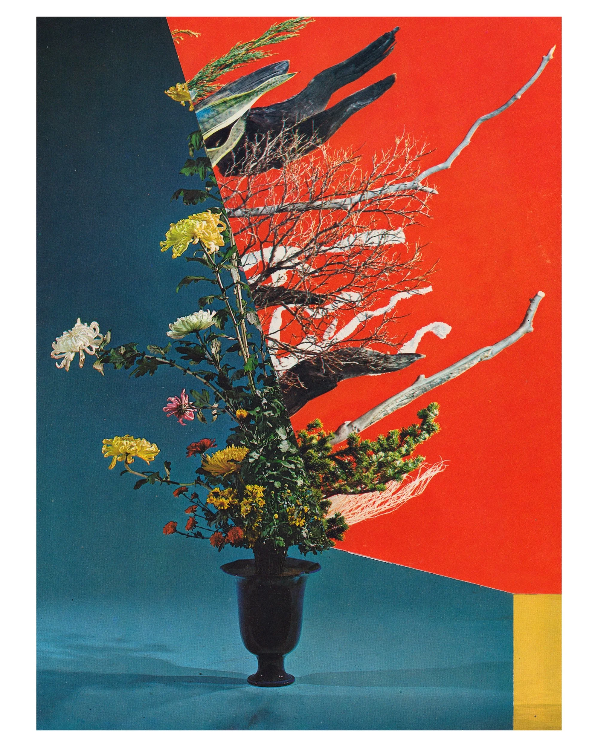 Daniel Lint - Symbiosis