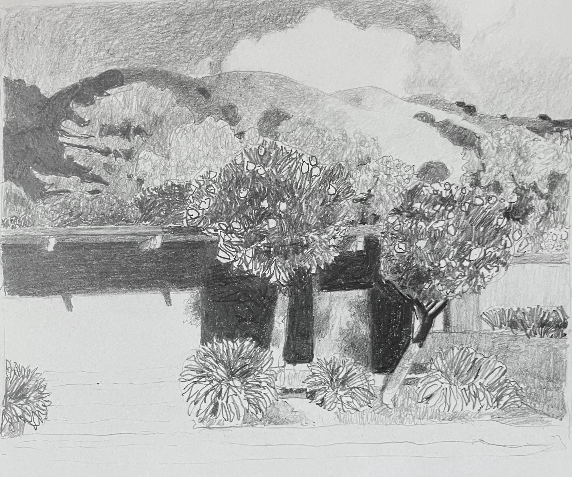 The End of Swim Team-drawing copy.jpeg
