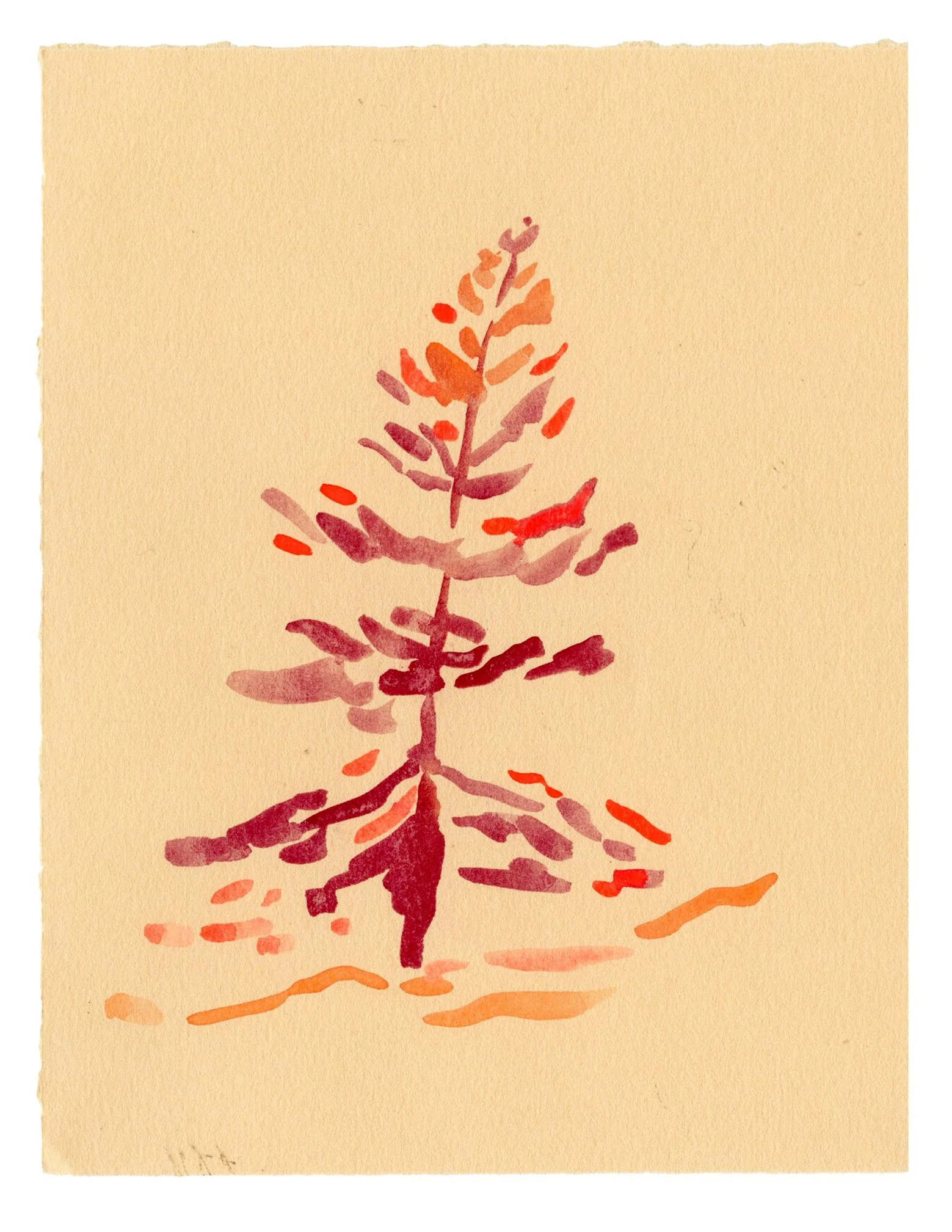 Tess Rubinstein -Fire Season