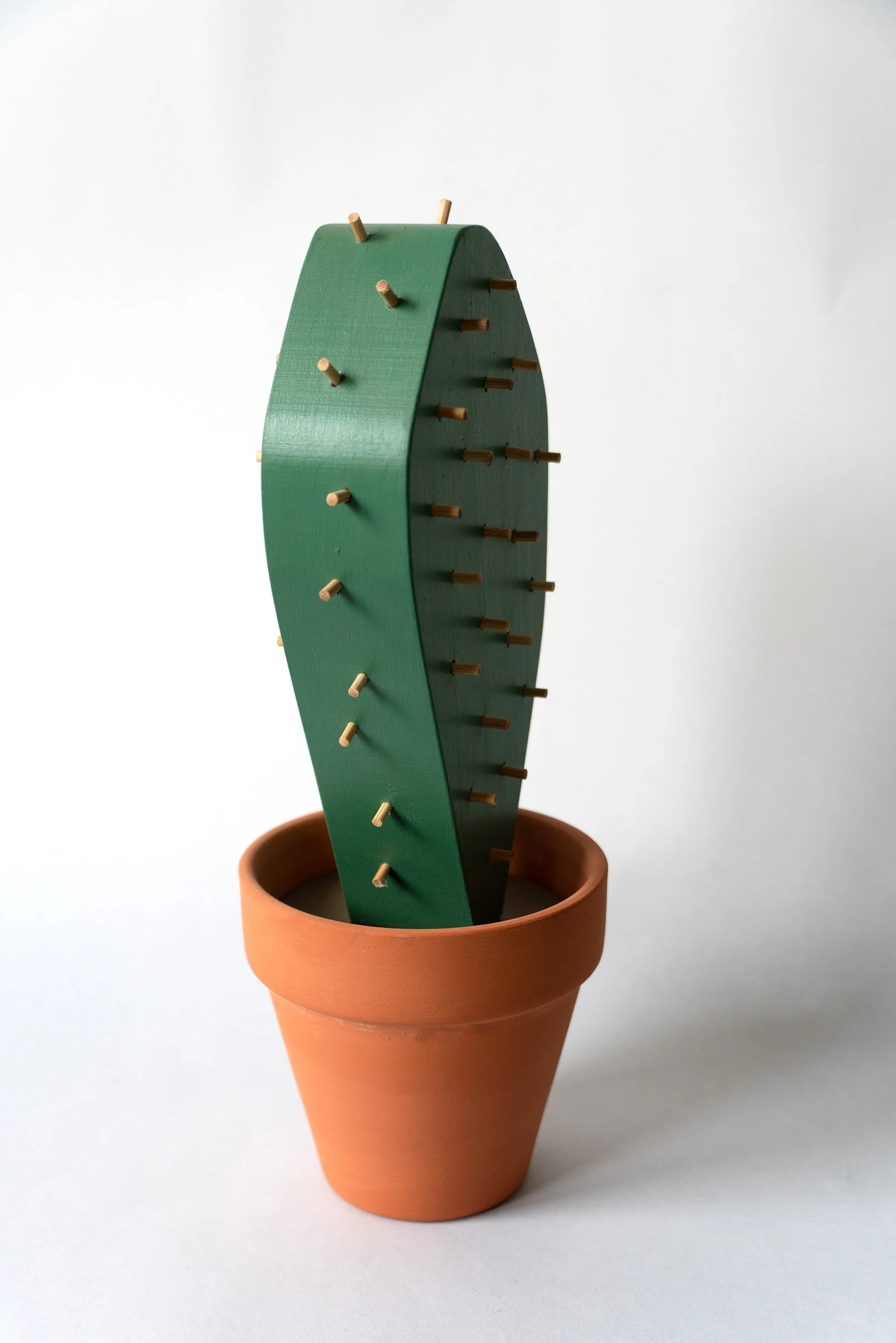 Jeff Canham SpikePlant3.jpg