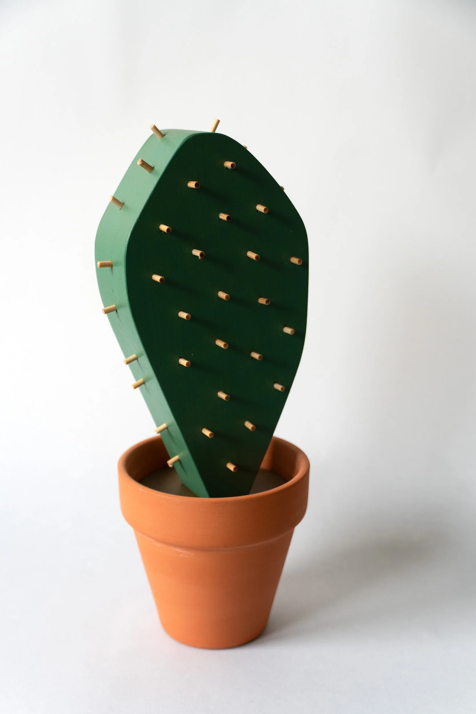 Jeff Canhan SpikePlant2.jpg