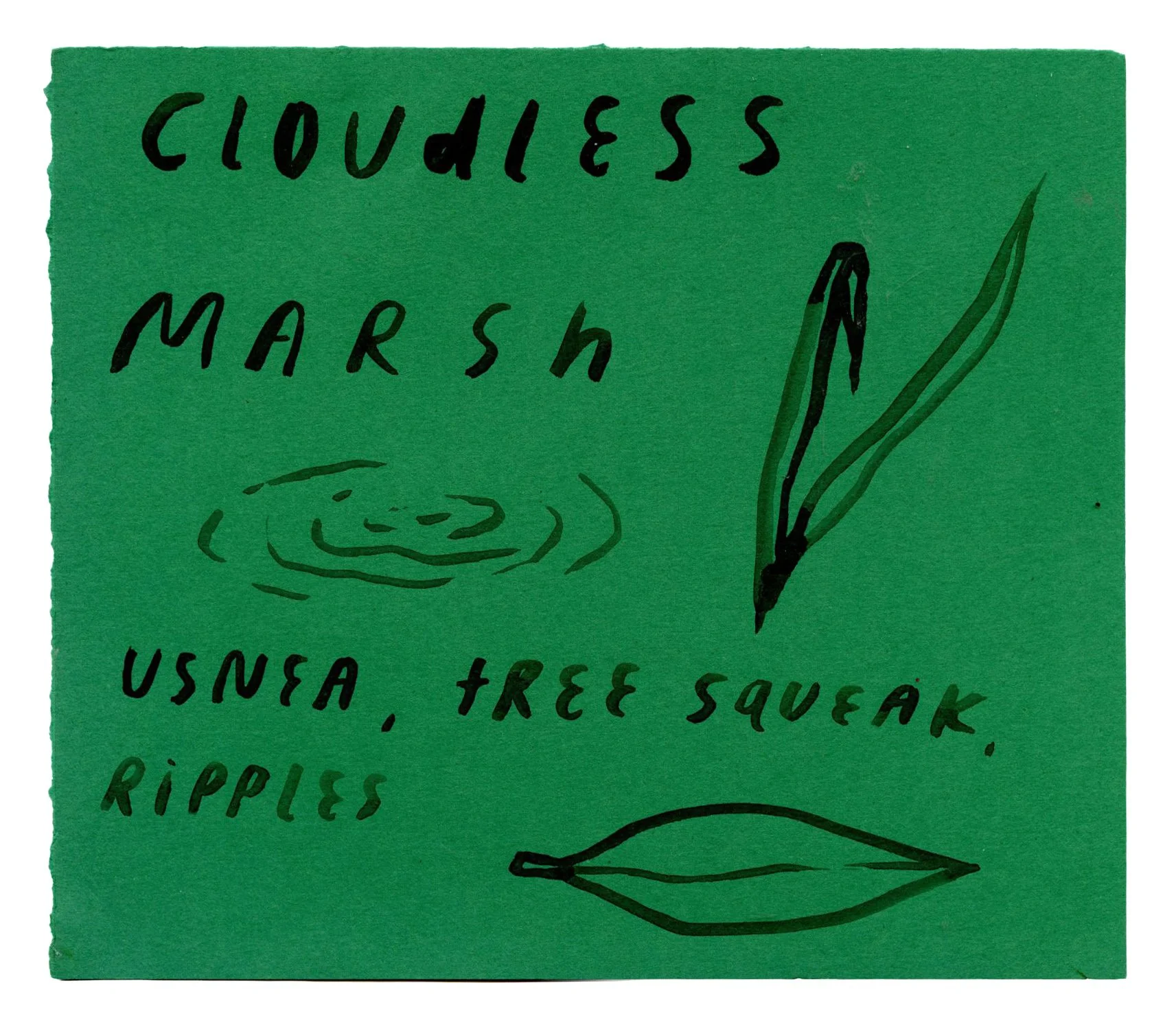 Tess Rubinstein - Marsh