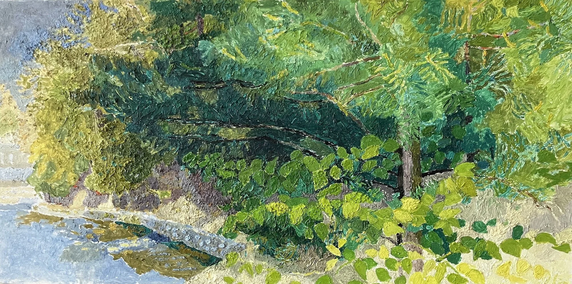 Walden Pond