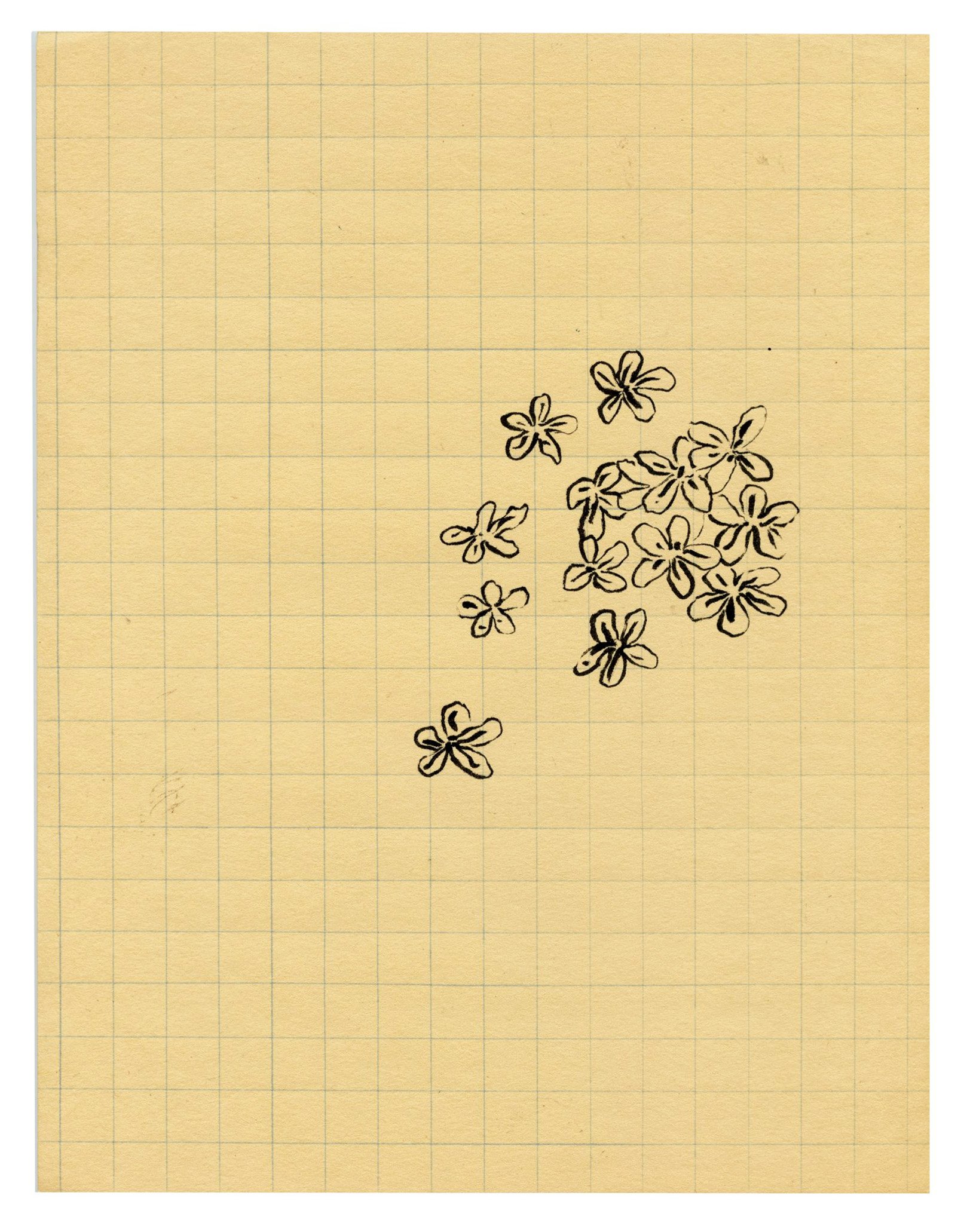 Tess Rubinstein - Forget Me Not