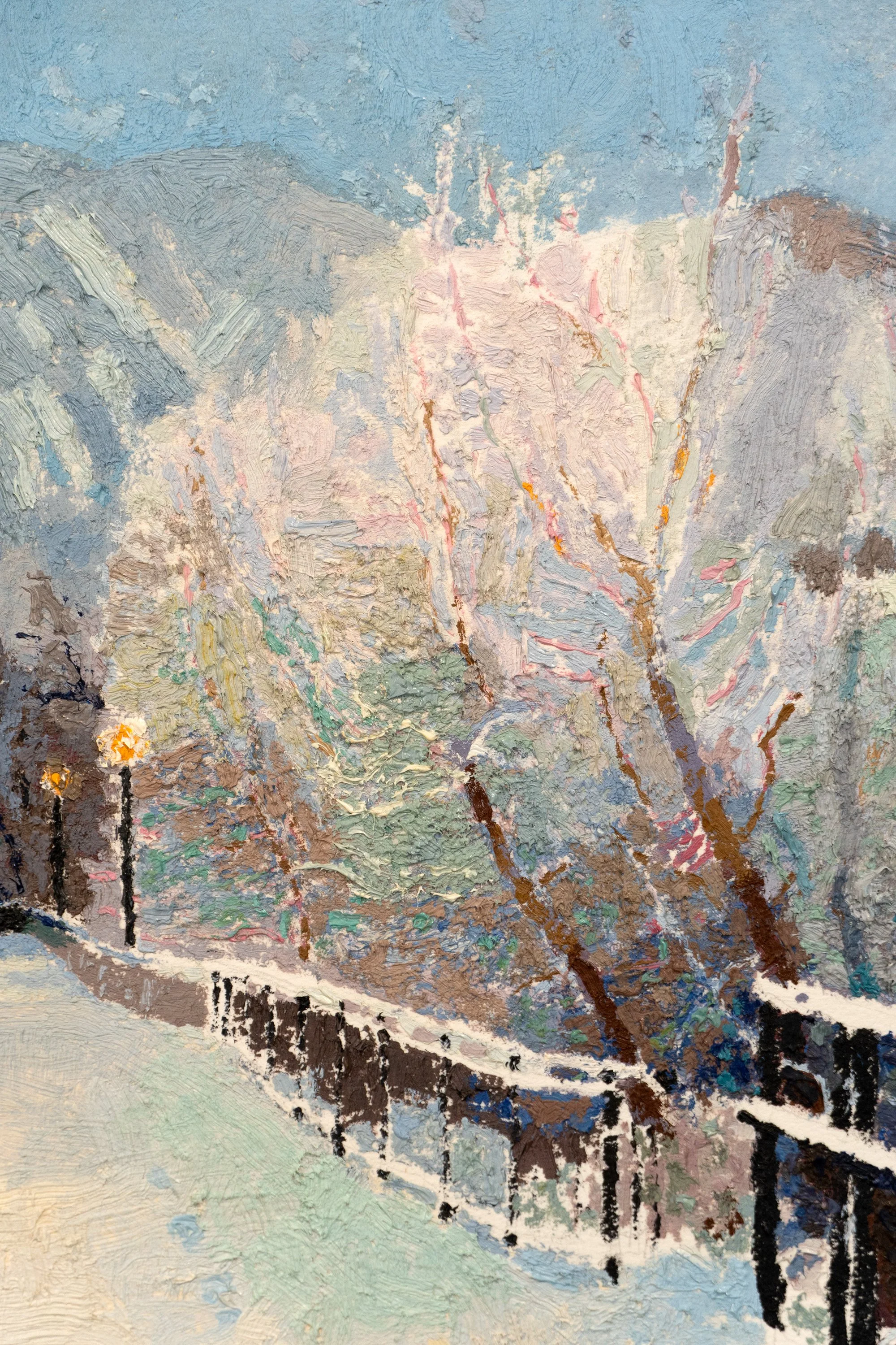 first snow close.jpg