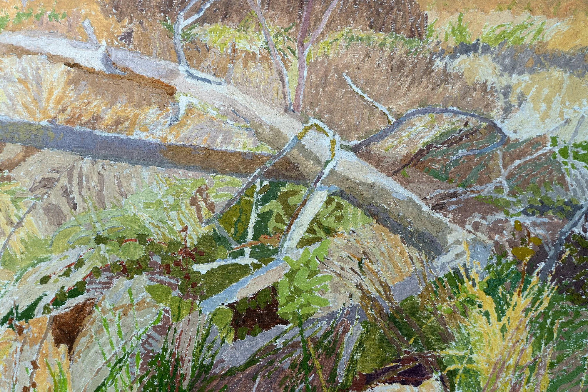 black mountain close.jpg
