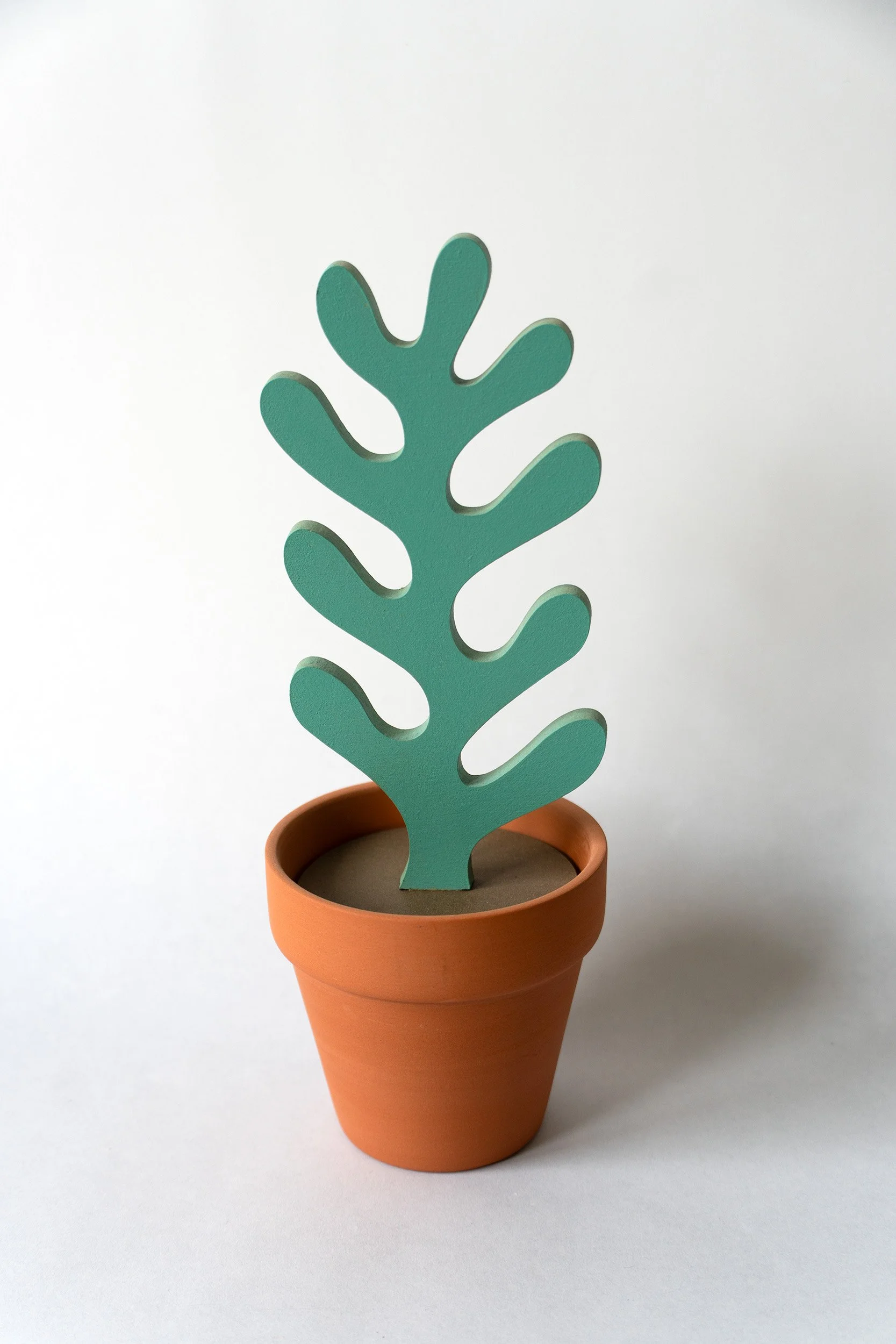 Jeff Canham Small Plant3.jpg