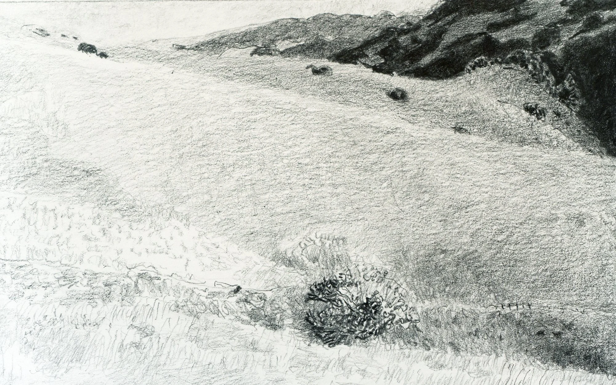 big rock close.jpg