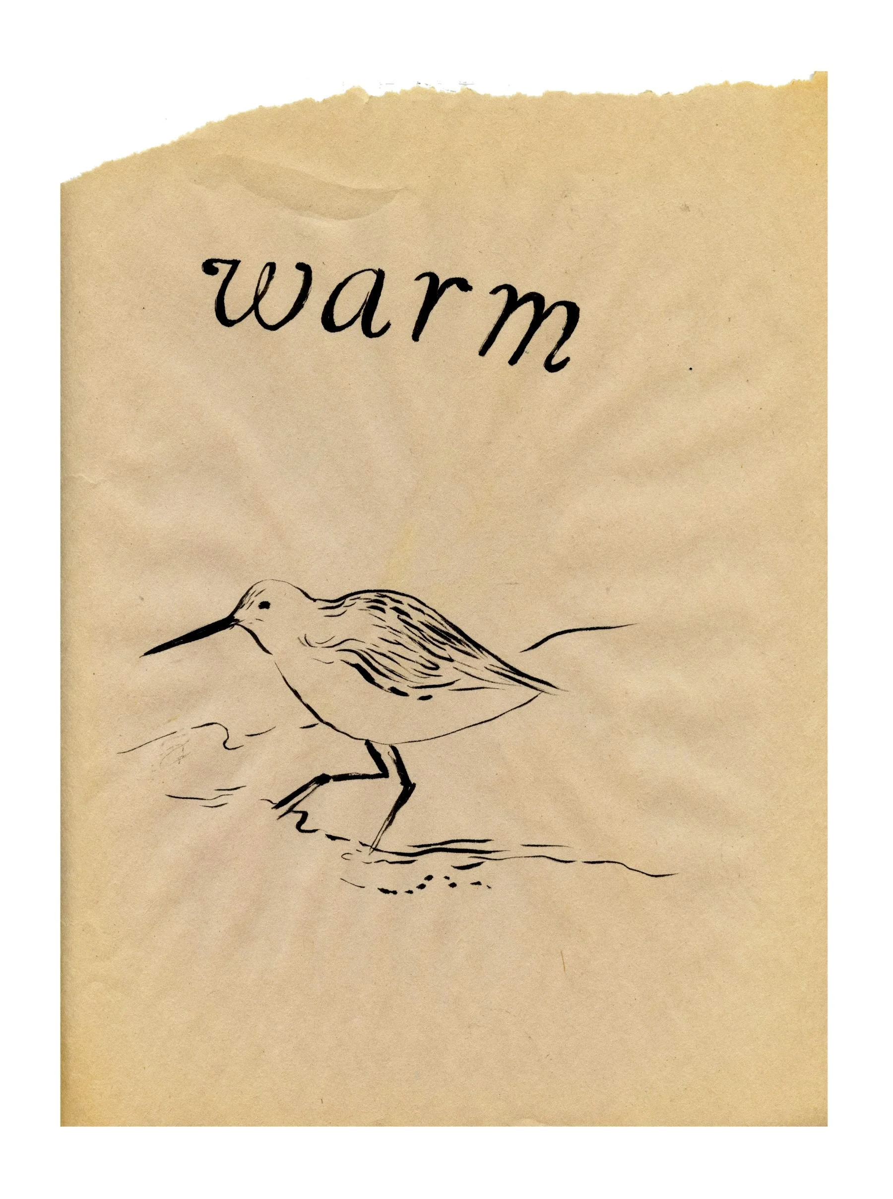 Tess Rubinstein - Warm