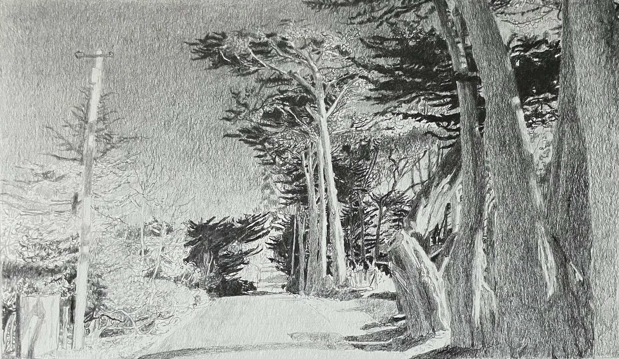 Cypress Road