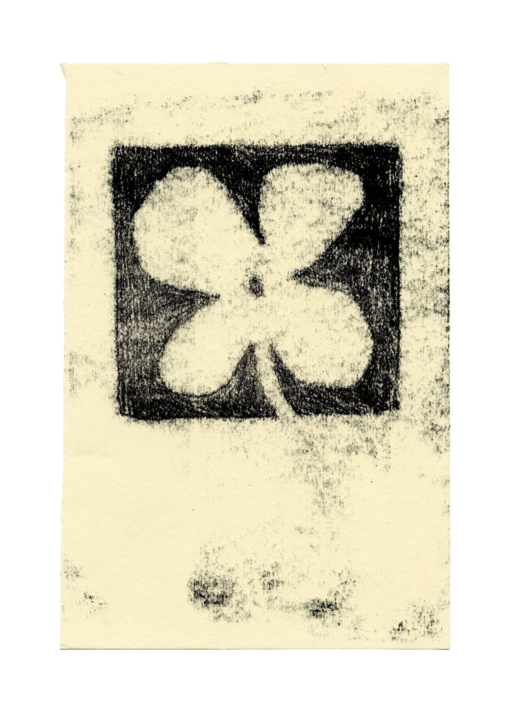 TR-Bloom Type.jpg