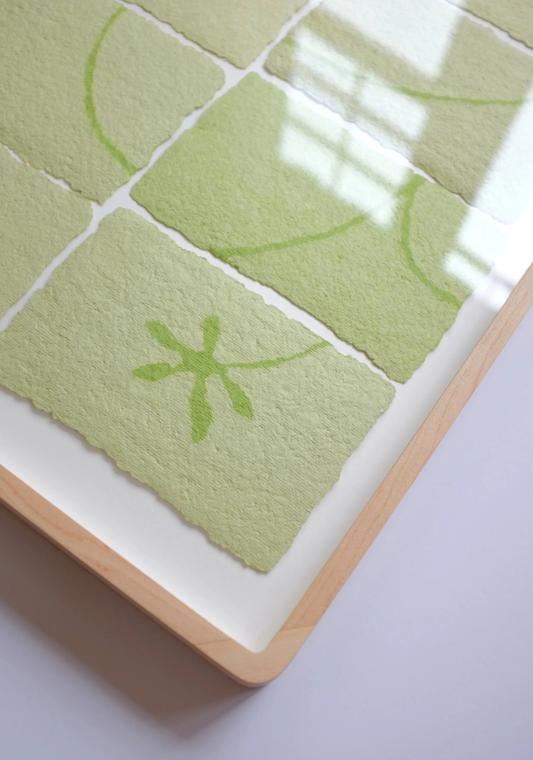 song to bloom_side view_rubinstein.JPG