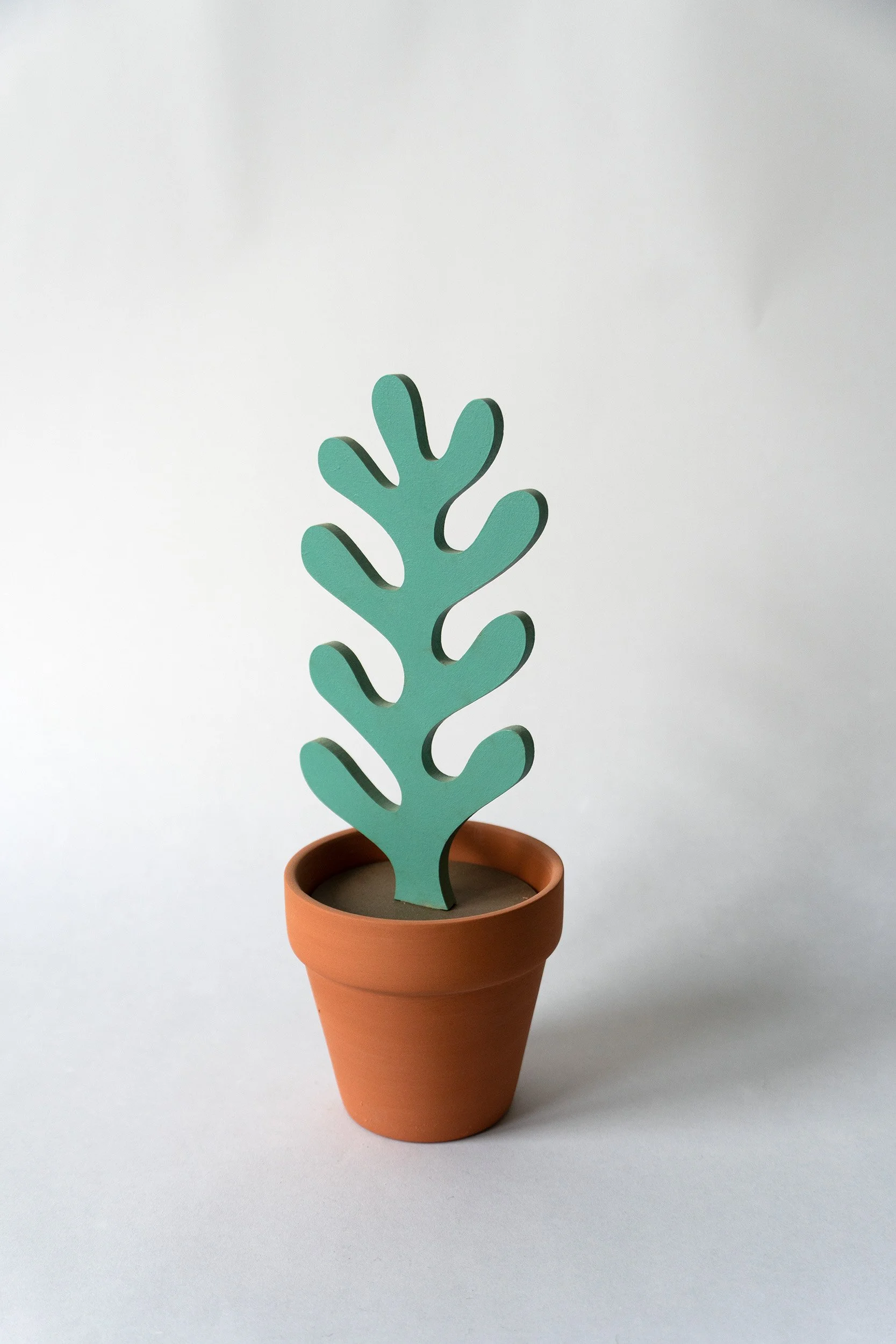 Jeff Canhan Small Plant1.jpg