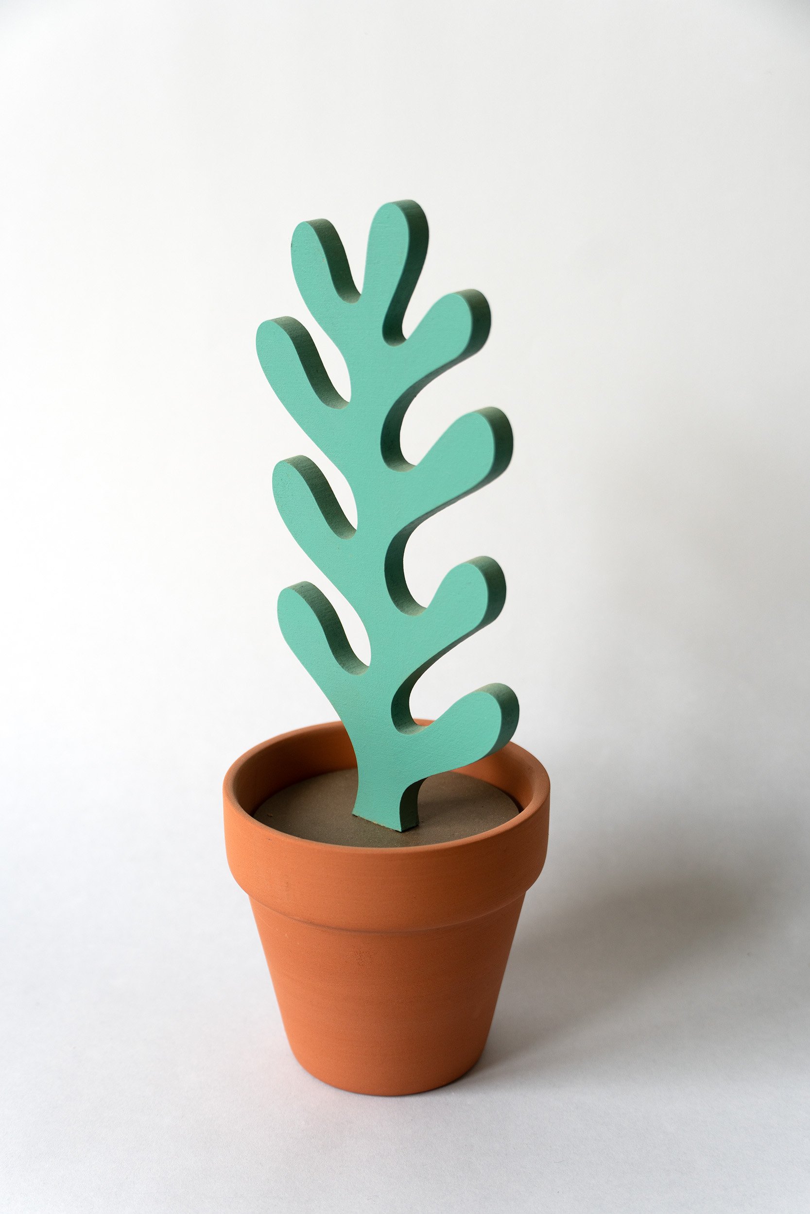 Jeff Canham Small Plant2.jpg