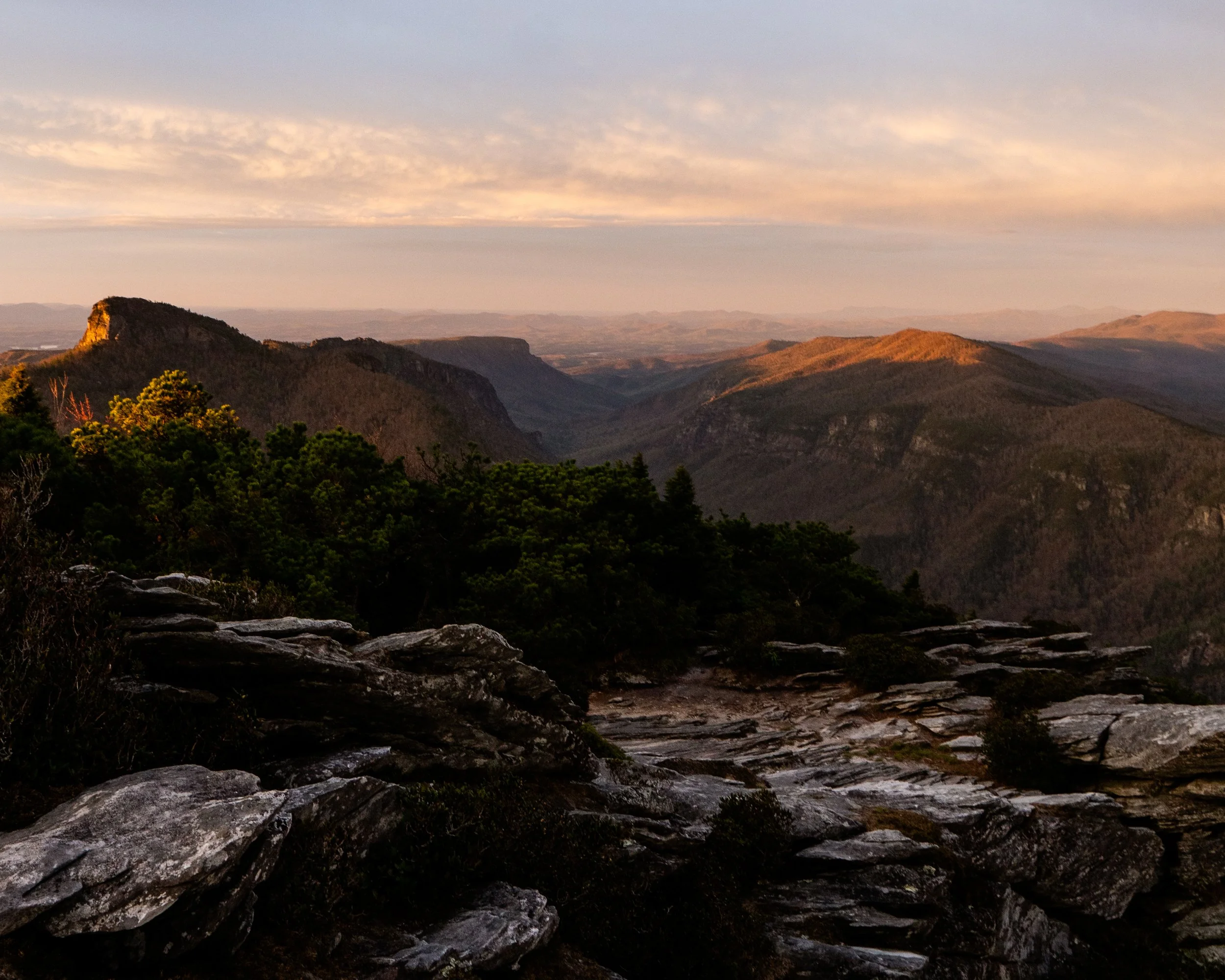 _DSC1584.jpg