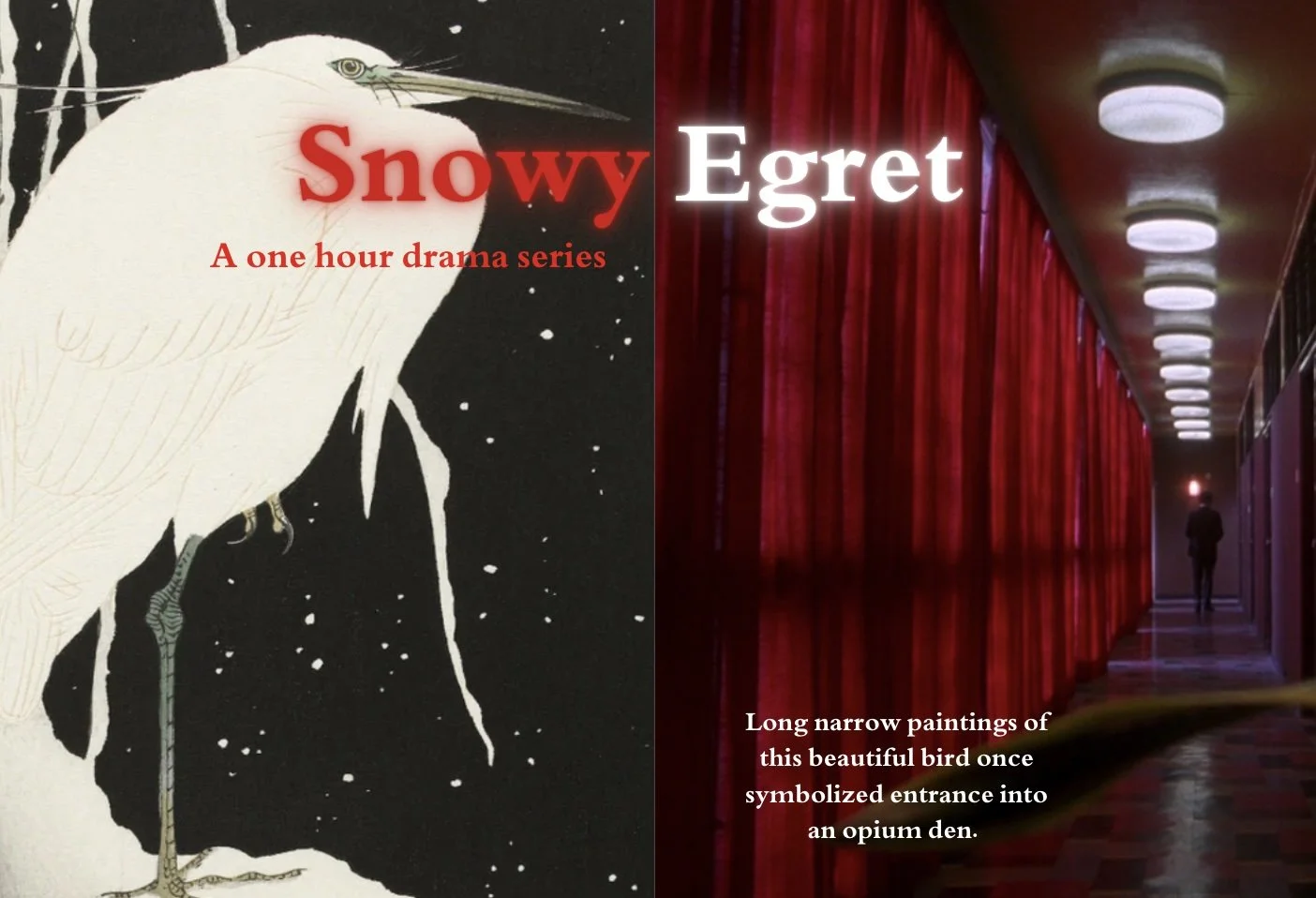 Snowy Egret --- One Hour Crime Drama