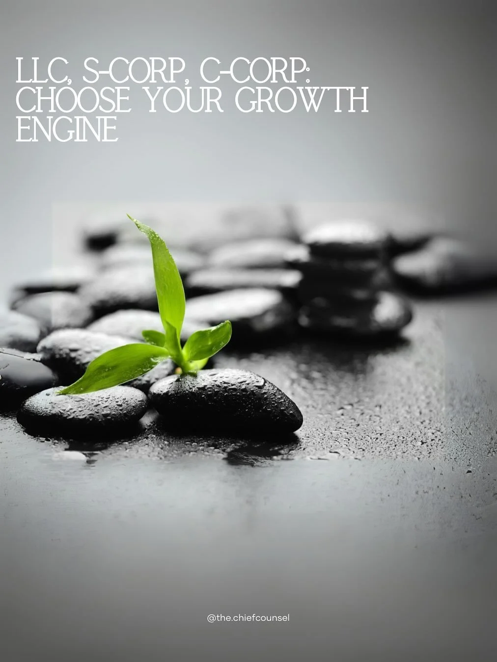 Whether it&rsquo;s an LLC, S-Corp, or C-Corp, the right choice shapes how you scale, pay taxes, and attract investors. Build smart. Grow strategically.

#ThChiefCounsel #FractionalGC #FractionalGeneralCounsel #LLC #SCorp #CCorp #ScaleSmart #BusinessS