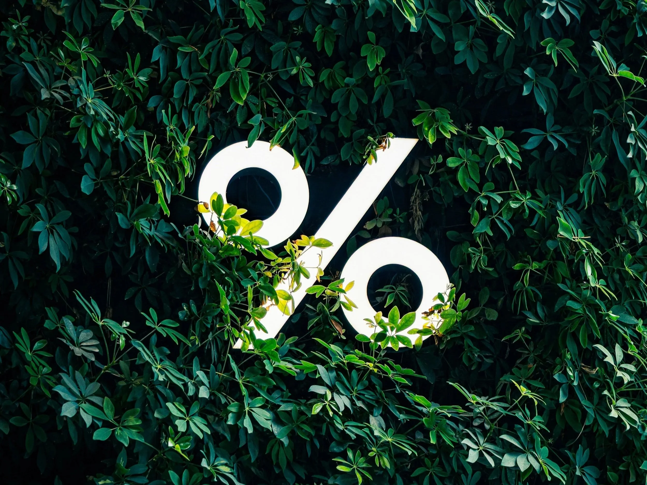 How to Solve Percent Problems: A Step-by-Step Guide for Students