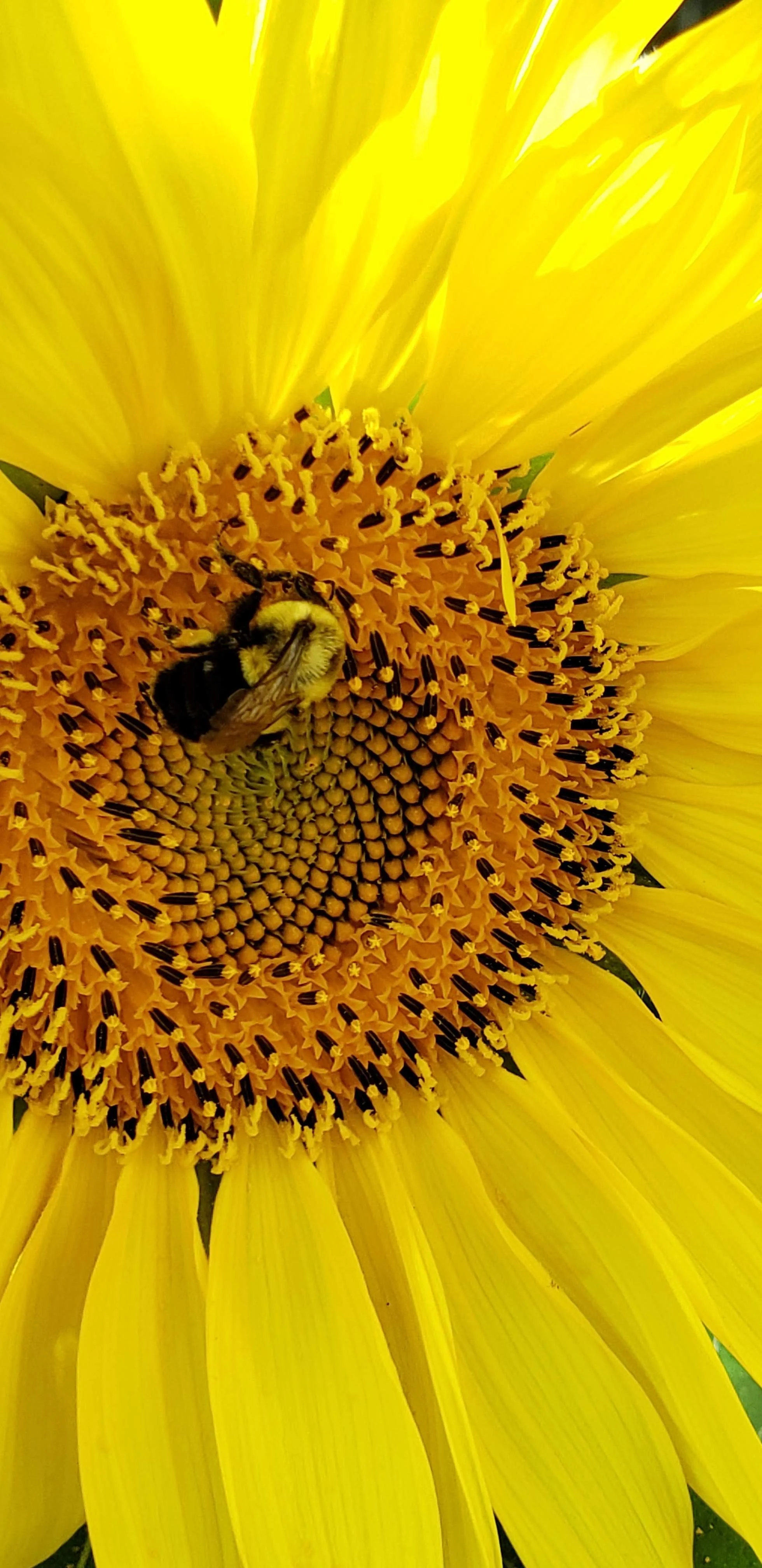 20230913_115027.jpg