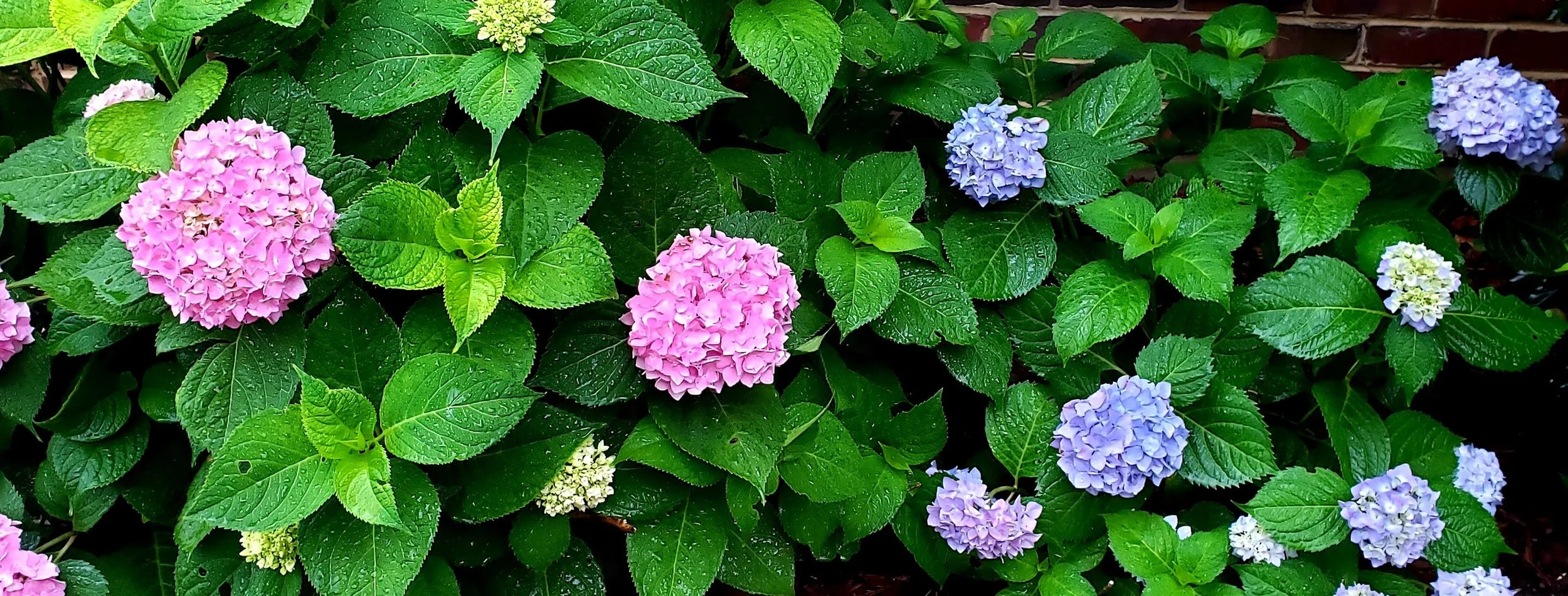 20240625_095831.jpg