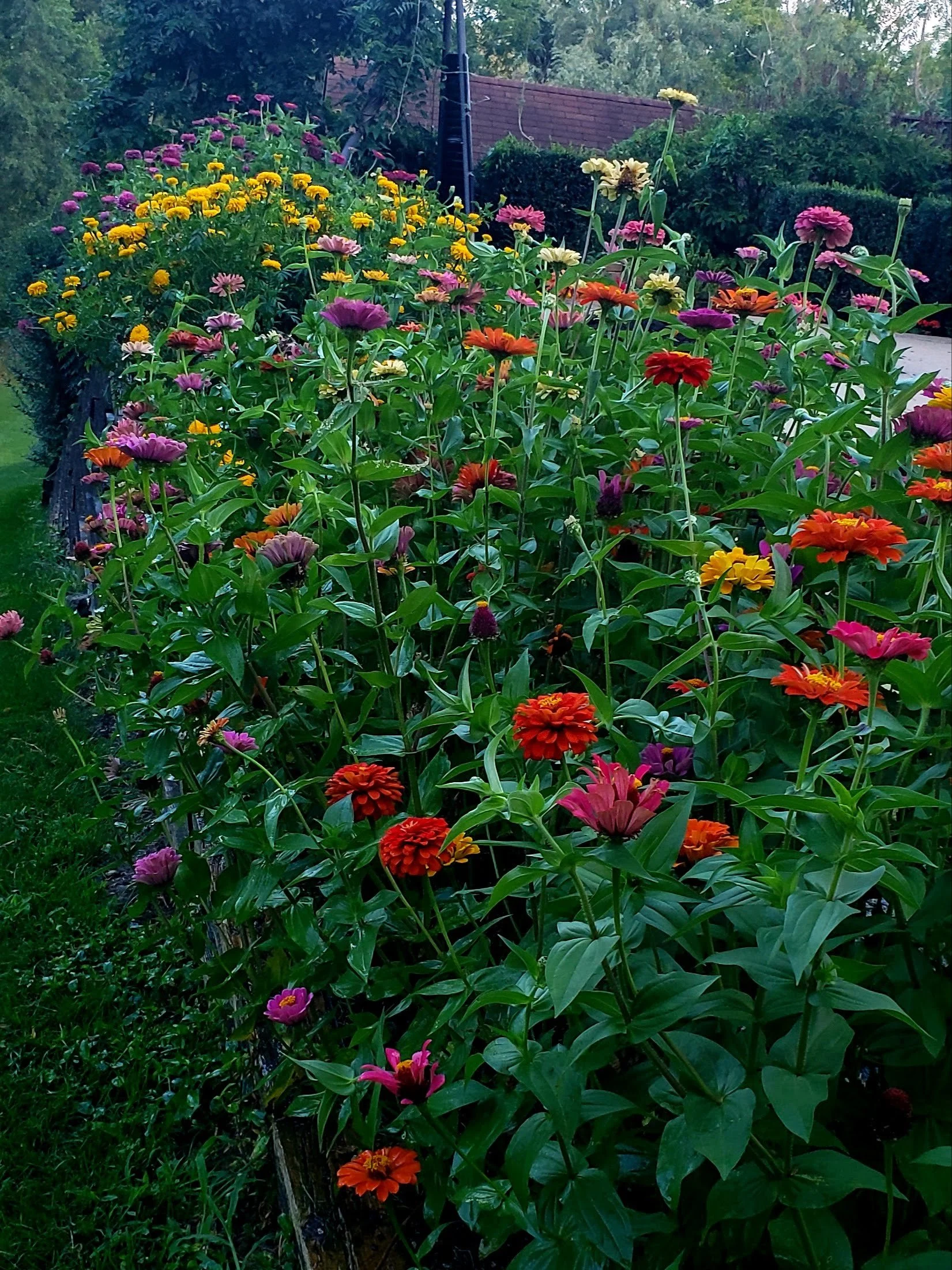 20230826_101212.jpg