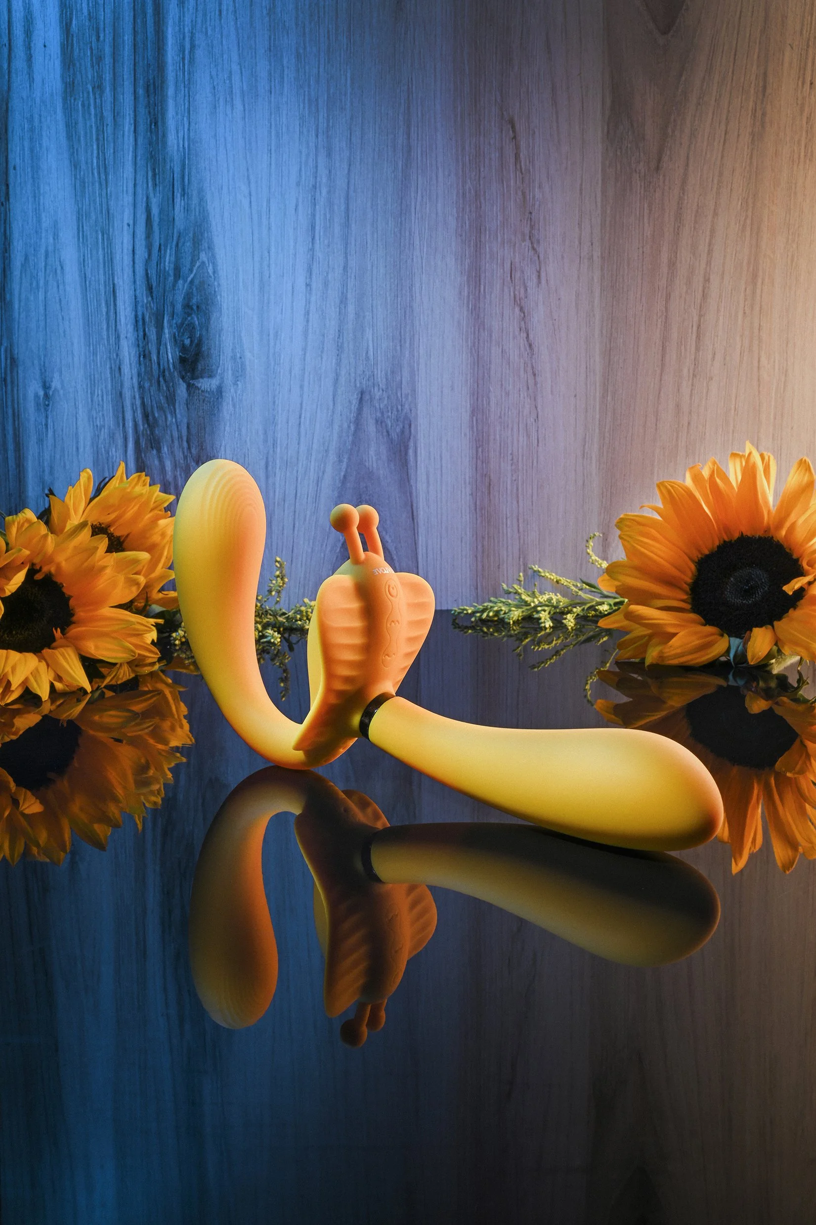 EN-RS-1102-2_P2_2-2 copy_e.jpg