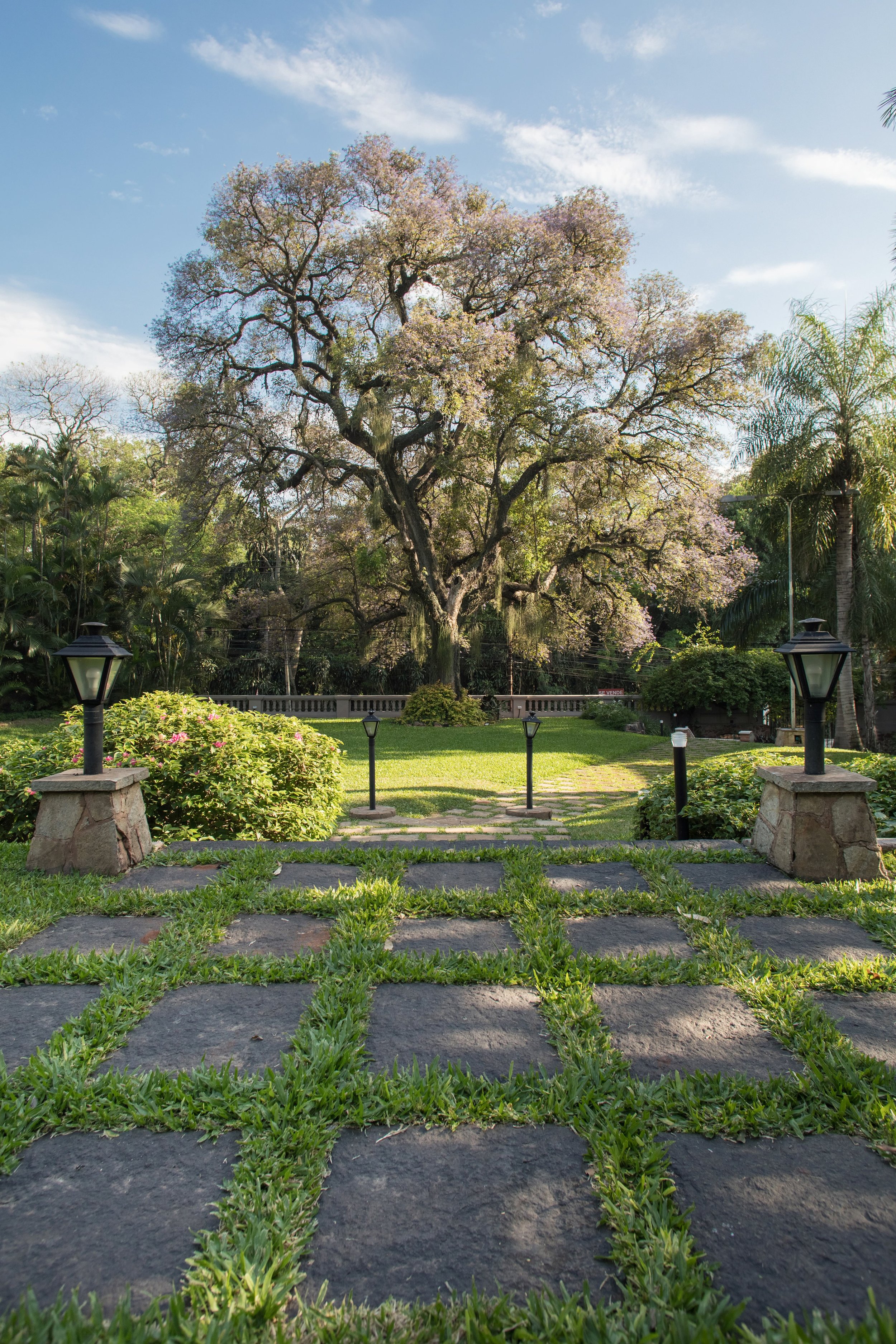 5-Jardin.jpeg