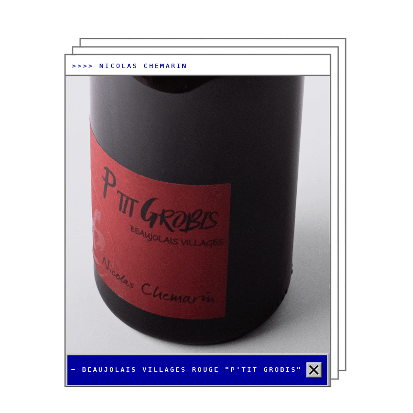 PTITGROBIS02.png
