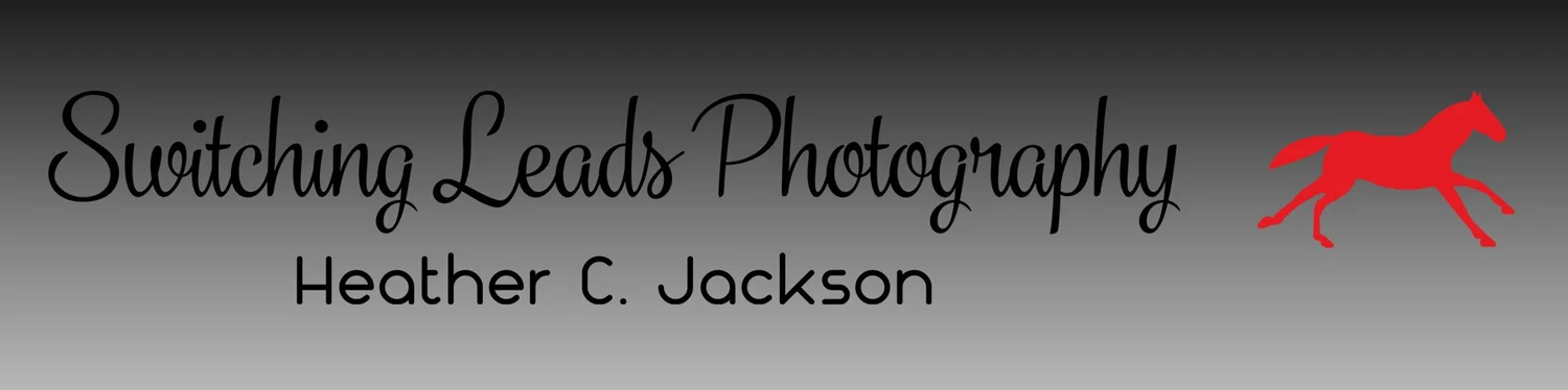 Switching Leads Photography
