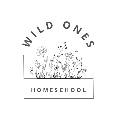 The Support Every New Homeschool Parent Needs