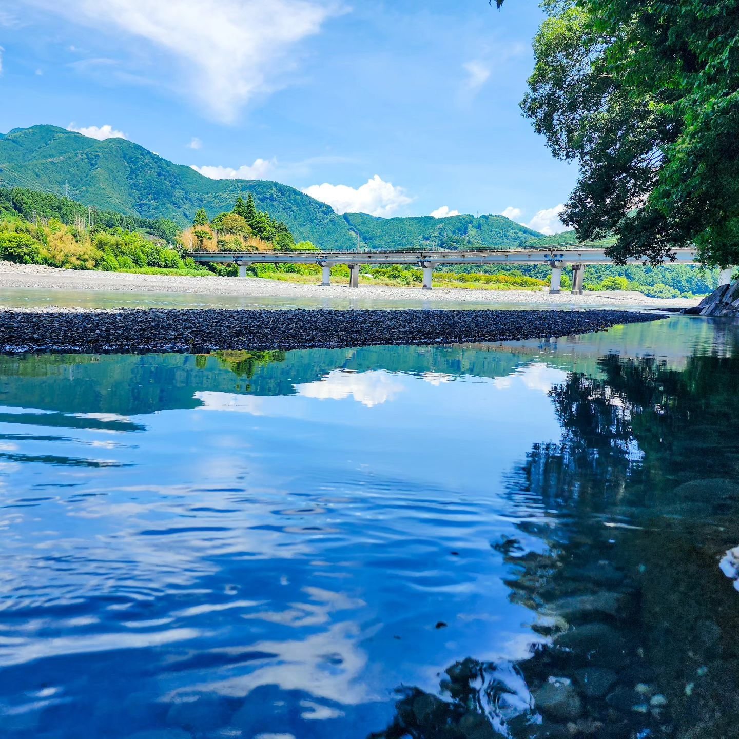 River days have cone to #kawanehoncho come visit us #guesthousemikansei