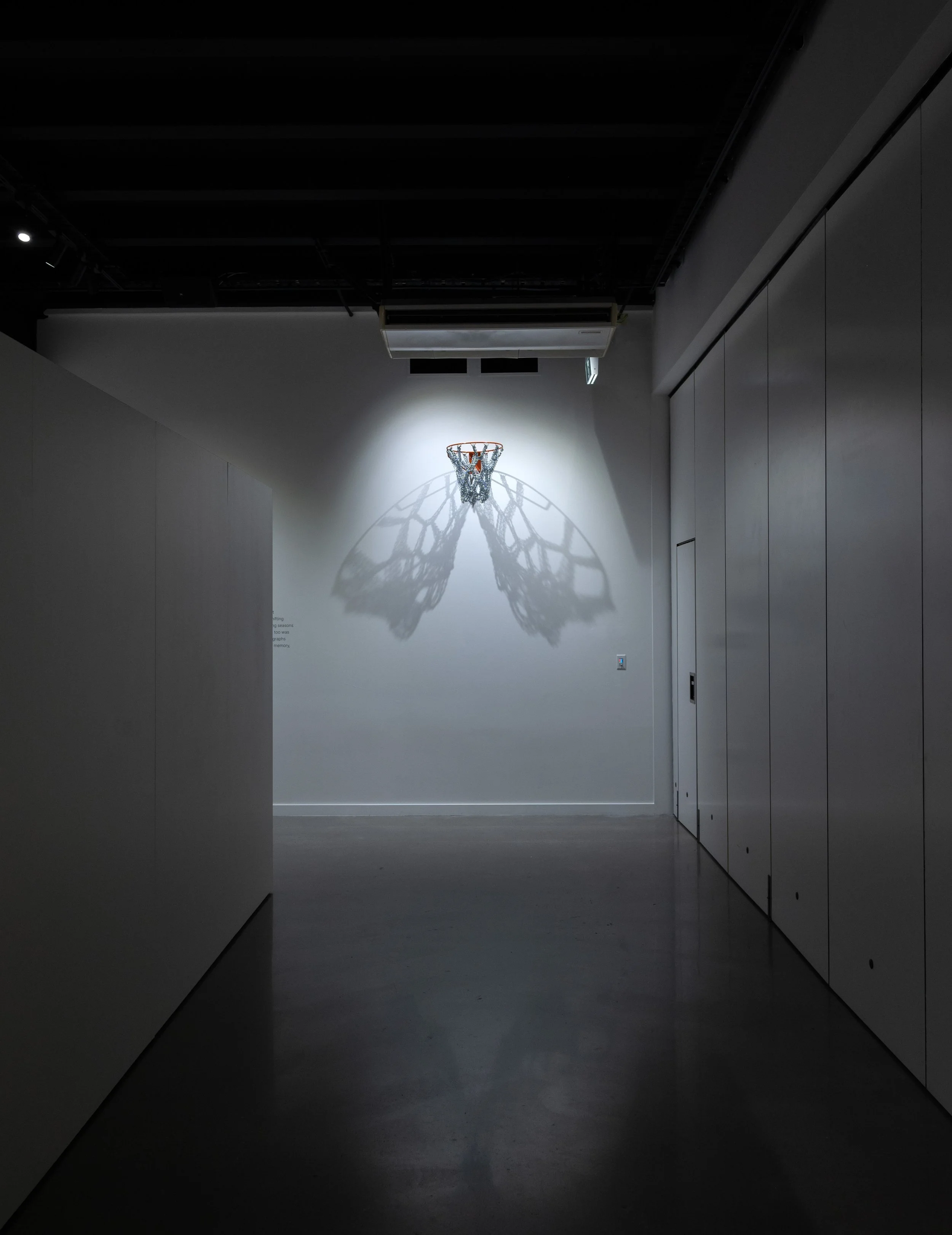 Marc Blake artist New Zealand ALTA