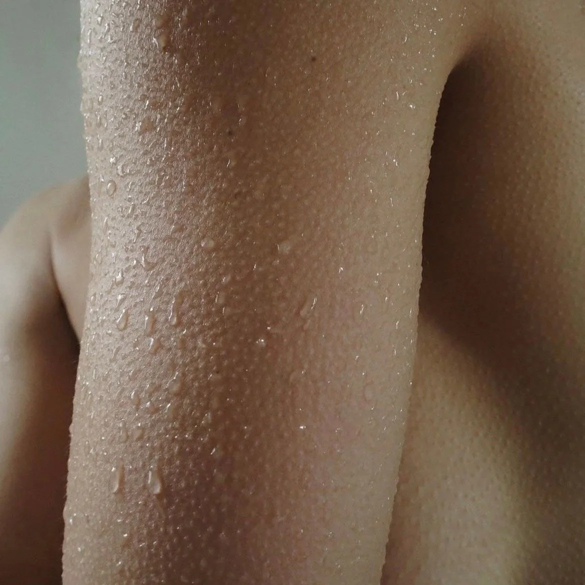 Life Through The Senses