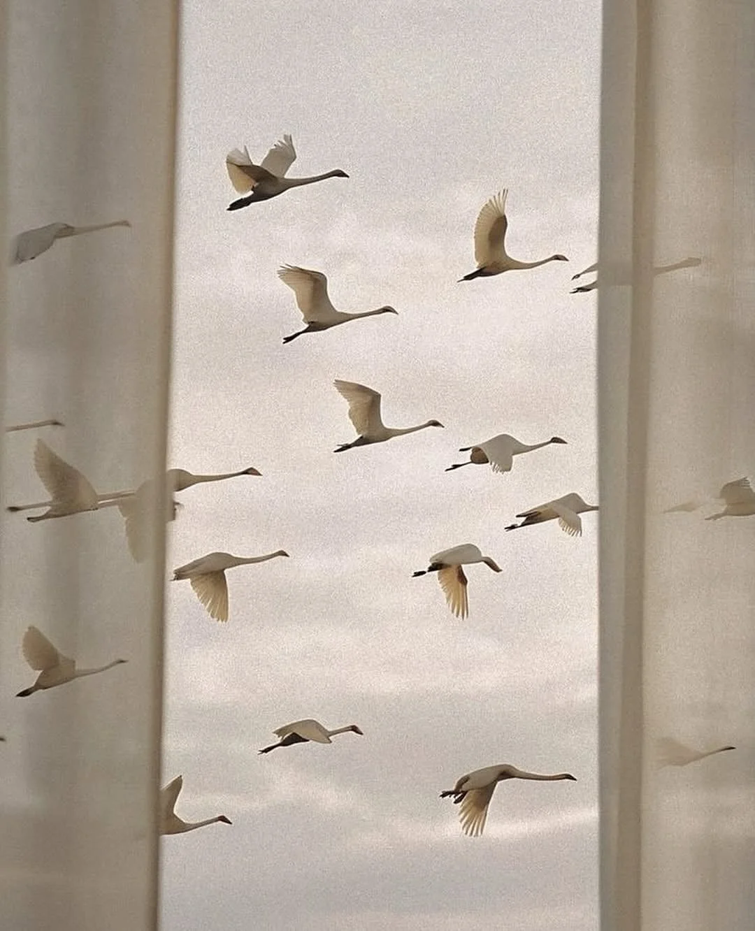 Being in motion 
#nowphoria

shots: @houseofleon