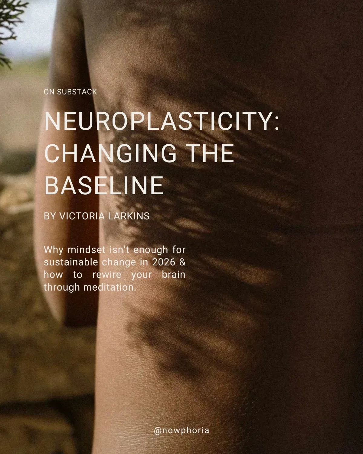&lsquo;Neuroplasticity: Changing the Baseline&rsquo; by @veeelark &mdash; on @substack 

Around the start of a new year, many of us feel the same impulse &mdash; a desire to shift, to expand, to live differently than we have before. We set intentions